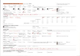 Image représentant Les magasins des Nouvelles Galeries, dans un hôtel d'époque Renaissance, rue du Pont