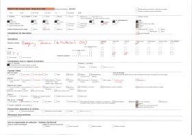 Image représentant France, Beaugency, Hopital militaire 47. Tresseurs, de Montauban, un bras avec palmier tatoué
