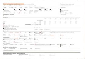 Image représentant Rue