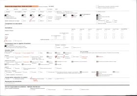 Image représentant France, Massevaux, Trois sapeurs Pompiers de Massevaux (avec le drapeau offert par Napoléon III, et gardé en Alsace pendant l'occupation