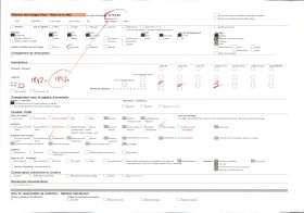Image représentant France, Colmar, La Douane et la fontaine Schwendi