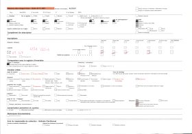 Image représentant France, Thann, Fontaine fleurie