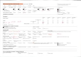 Image représentant France, Kienzheim, Une petite rue près de l'Hôtel de Ville