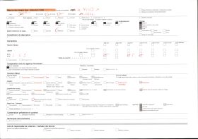 Image représentant Vue des bords de la Doller vers l'aval, au fond la mairie et le pont