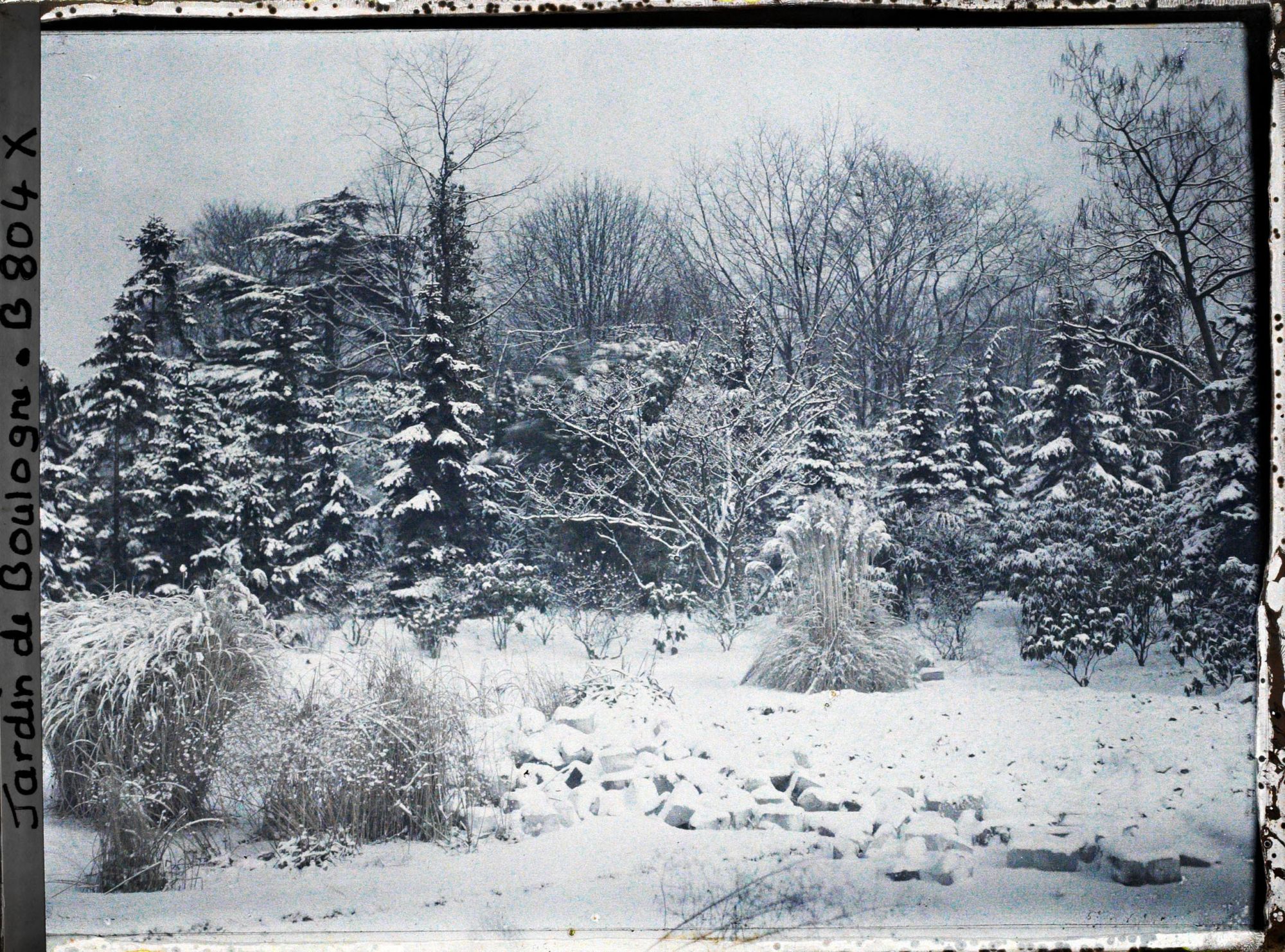 Image représentant Partie nord-est du marais sous la neige, vue en direction du nord, nord-est