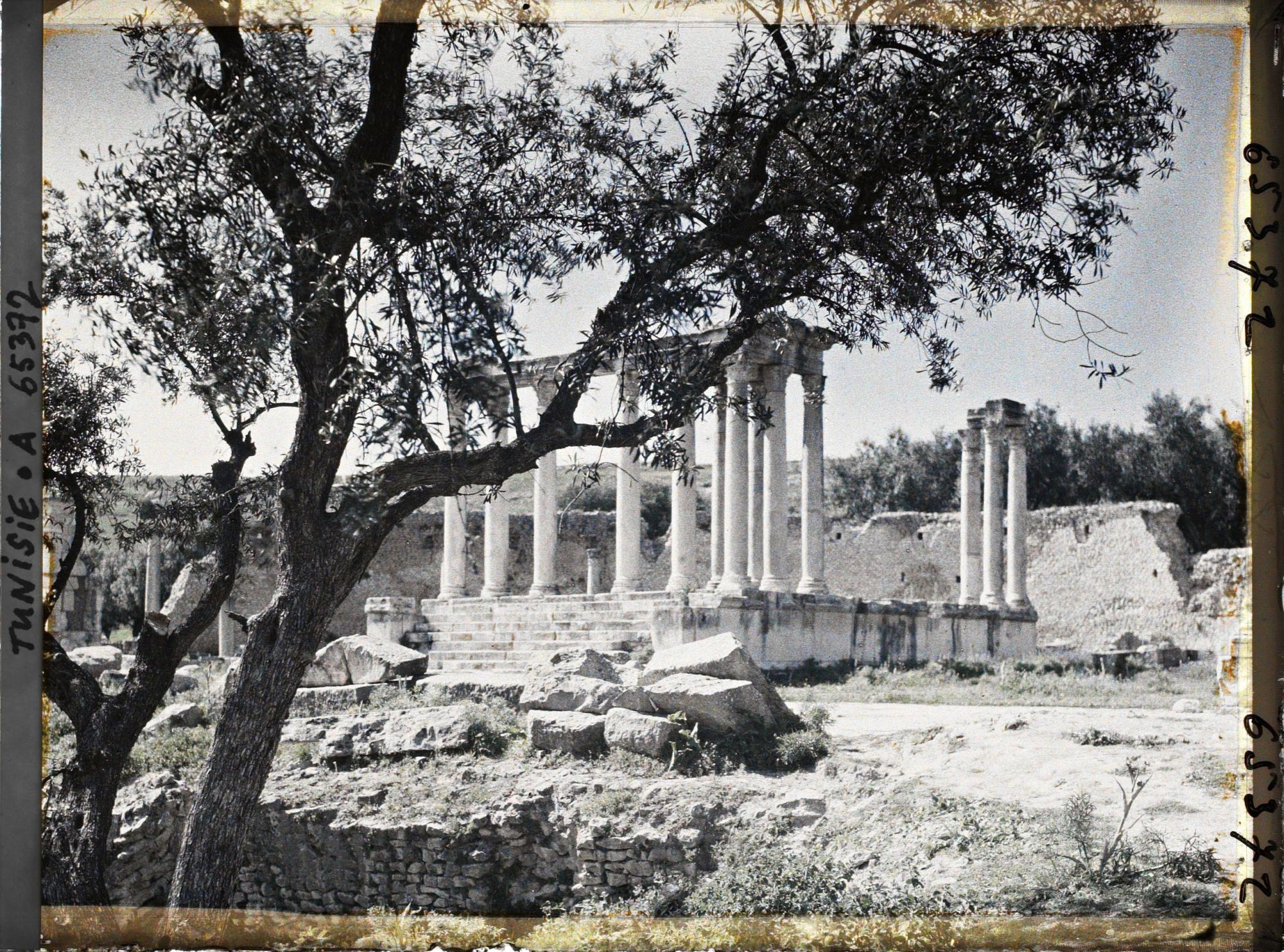 Image représentant Les vestiges du temple de Caelestis