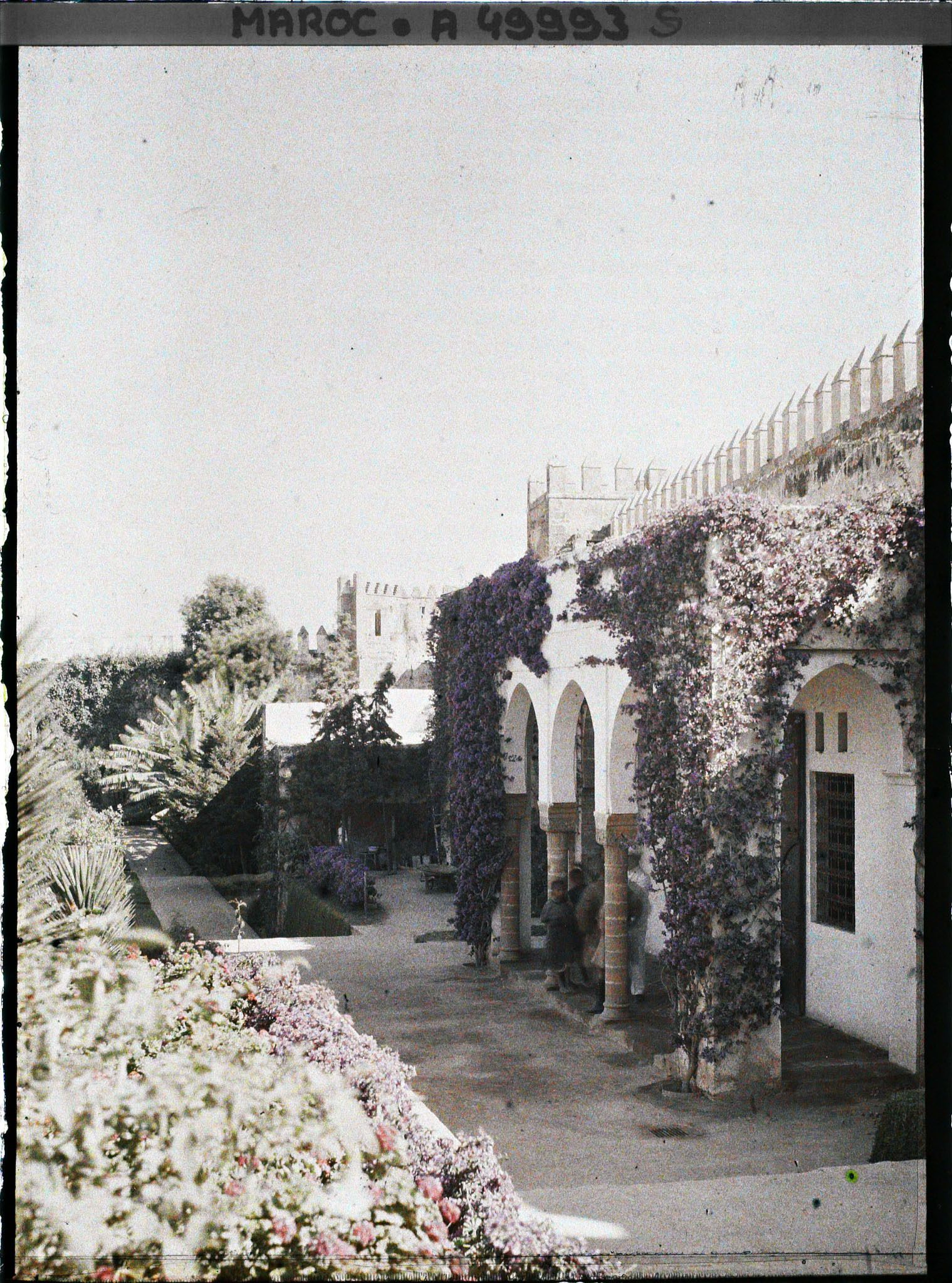 Image représentant Une partie des jardins de la médersa des Oudaïa