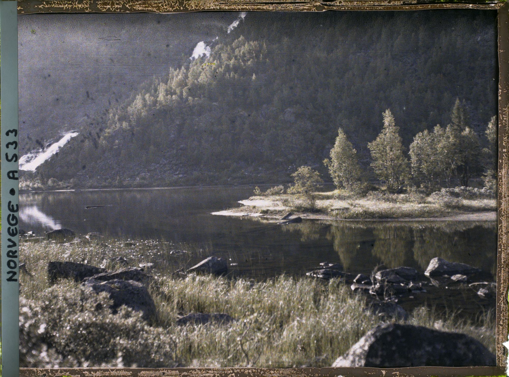 Image représentant Les bords du lac Roldalsvatnet?