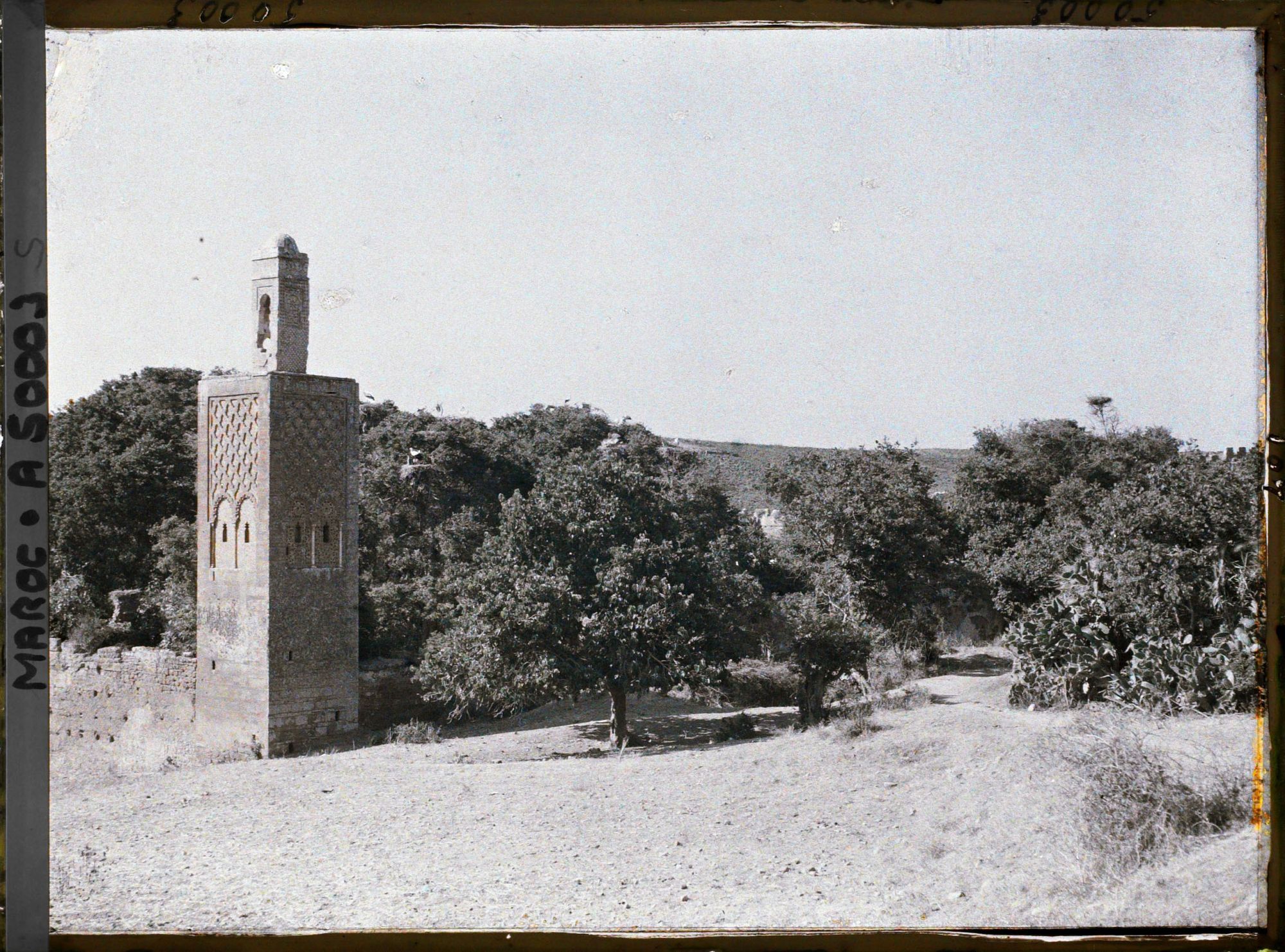 Image représentant Le minaret d'une mosquée