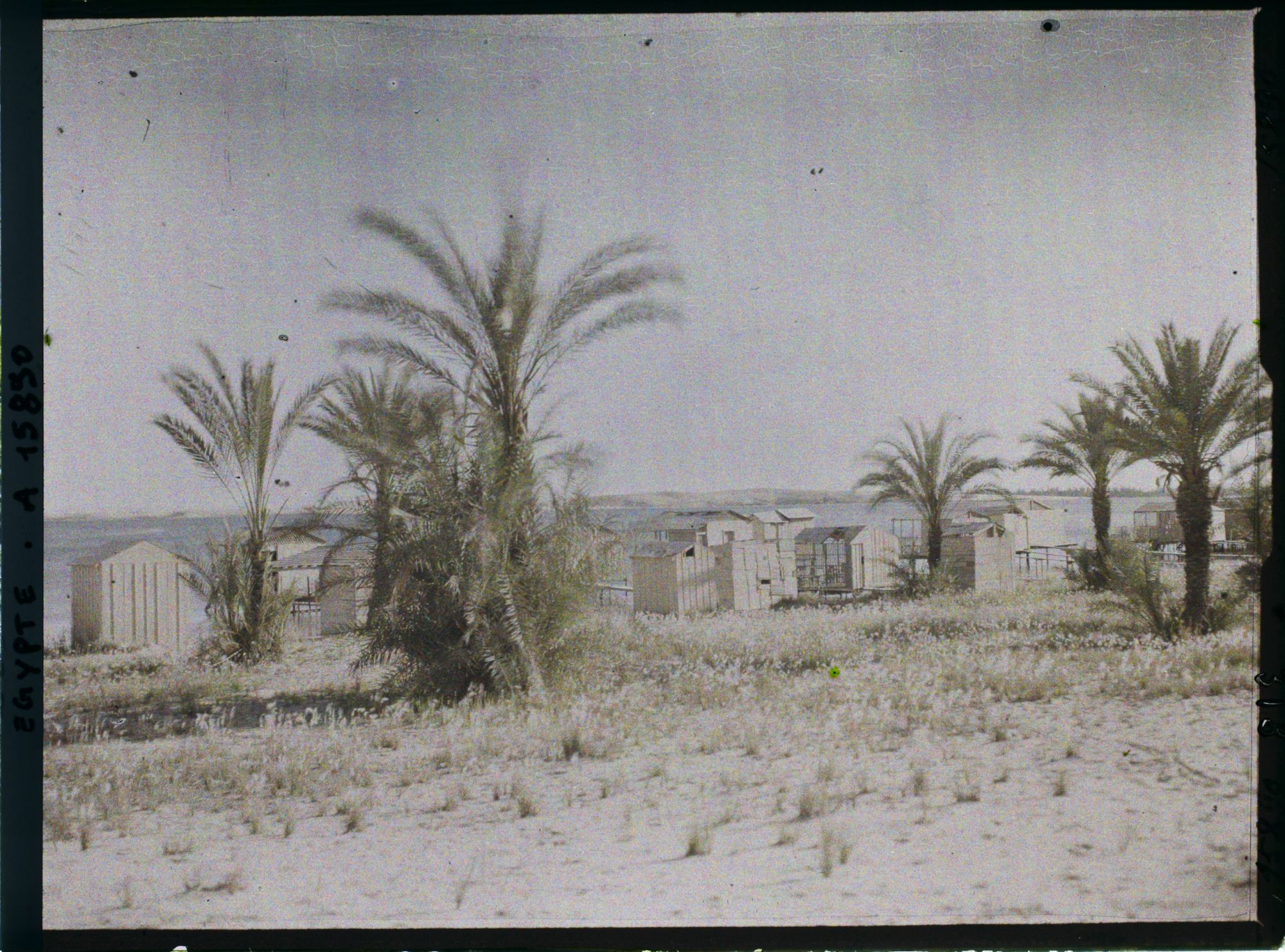 Image représentant Les bains au bord du lac Timsah