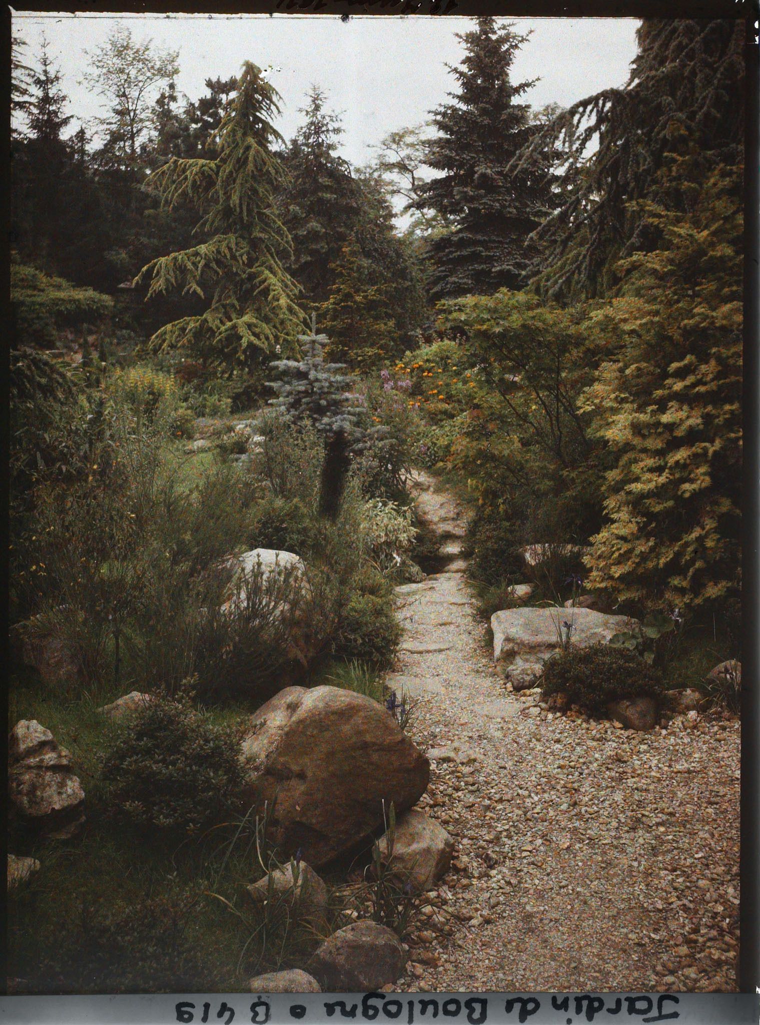 Image représentant Chemin du " sanctuaire japonais " menant vers l'ouest, situé non loin du " village japonais "
