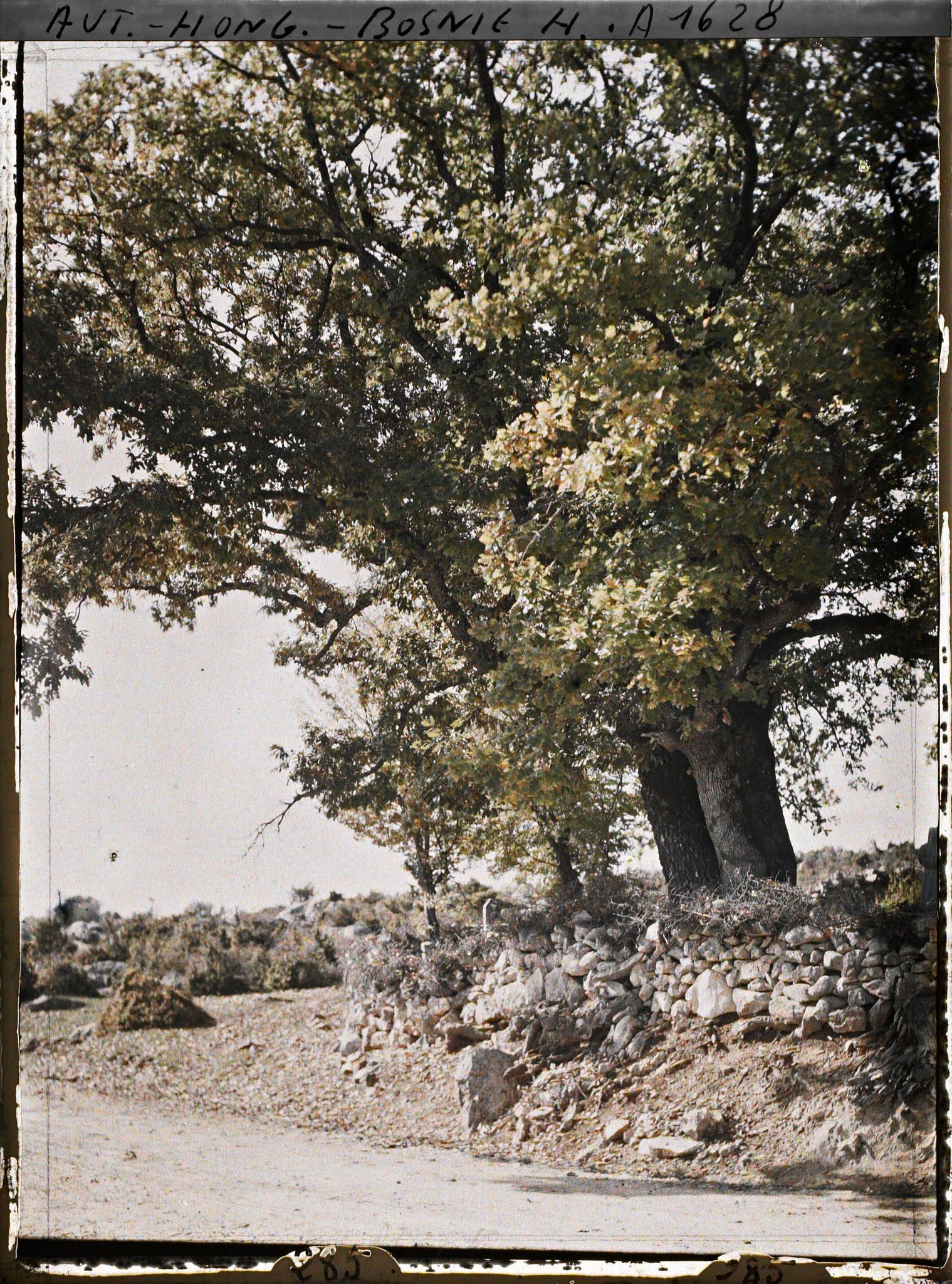 Image représentant Un ancien Cimetière musulman entouré de murs