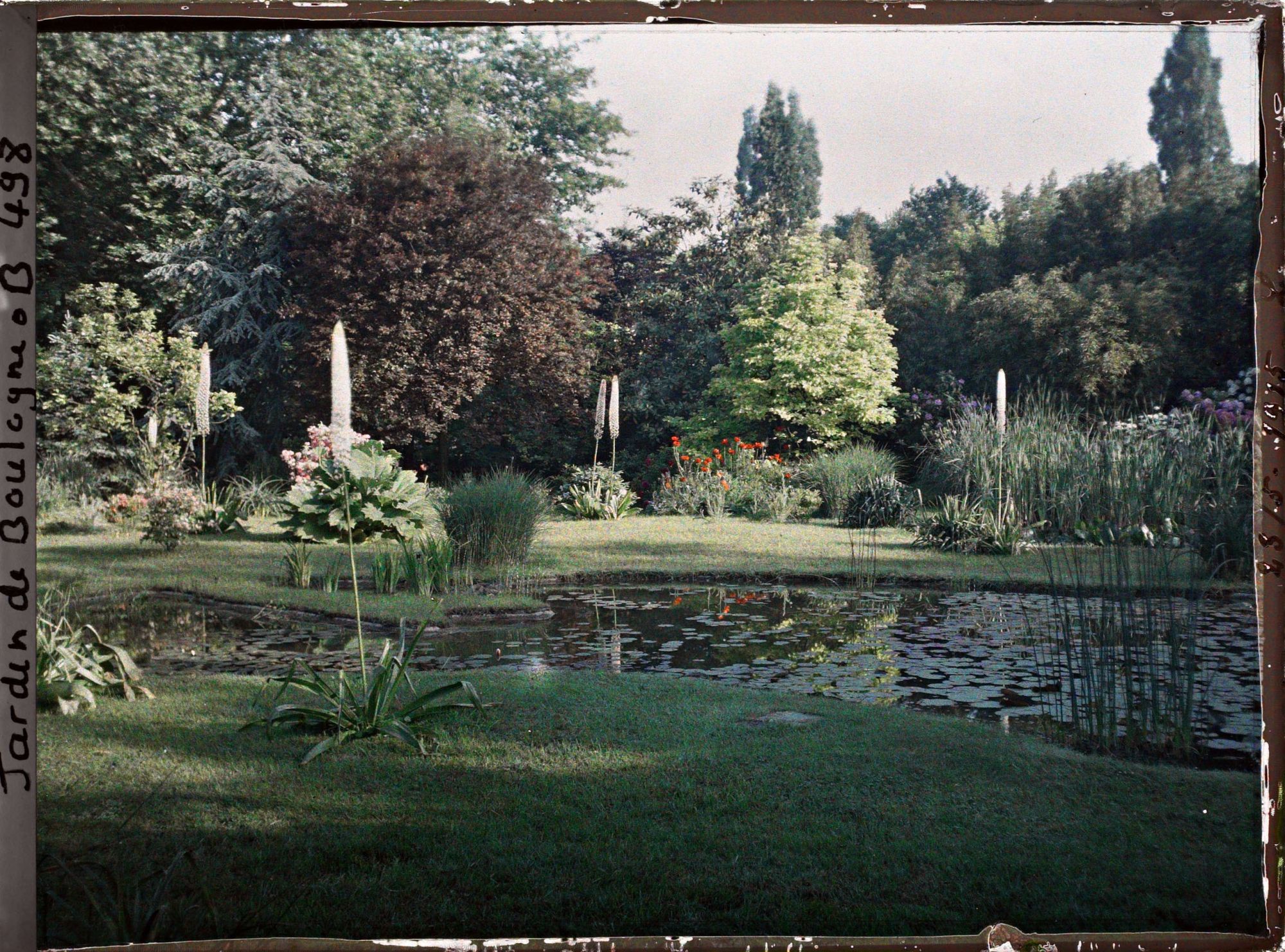 Image représentant IF7848_B000498.jpg