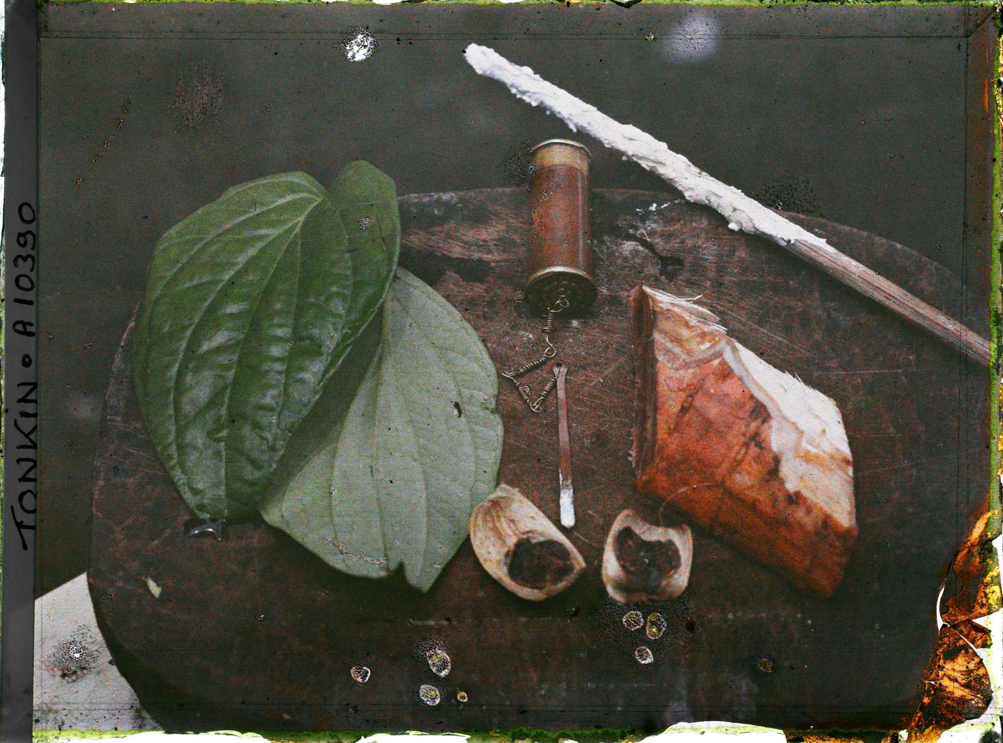 Image représentant Les éléments nécessaires à la mastication du bétel