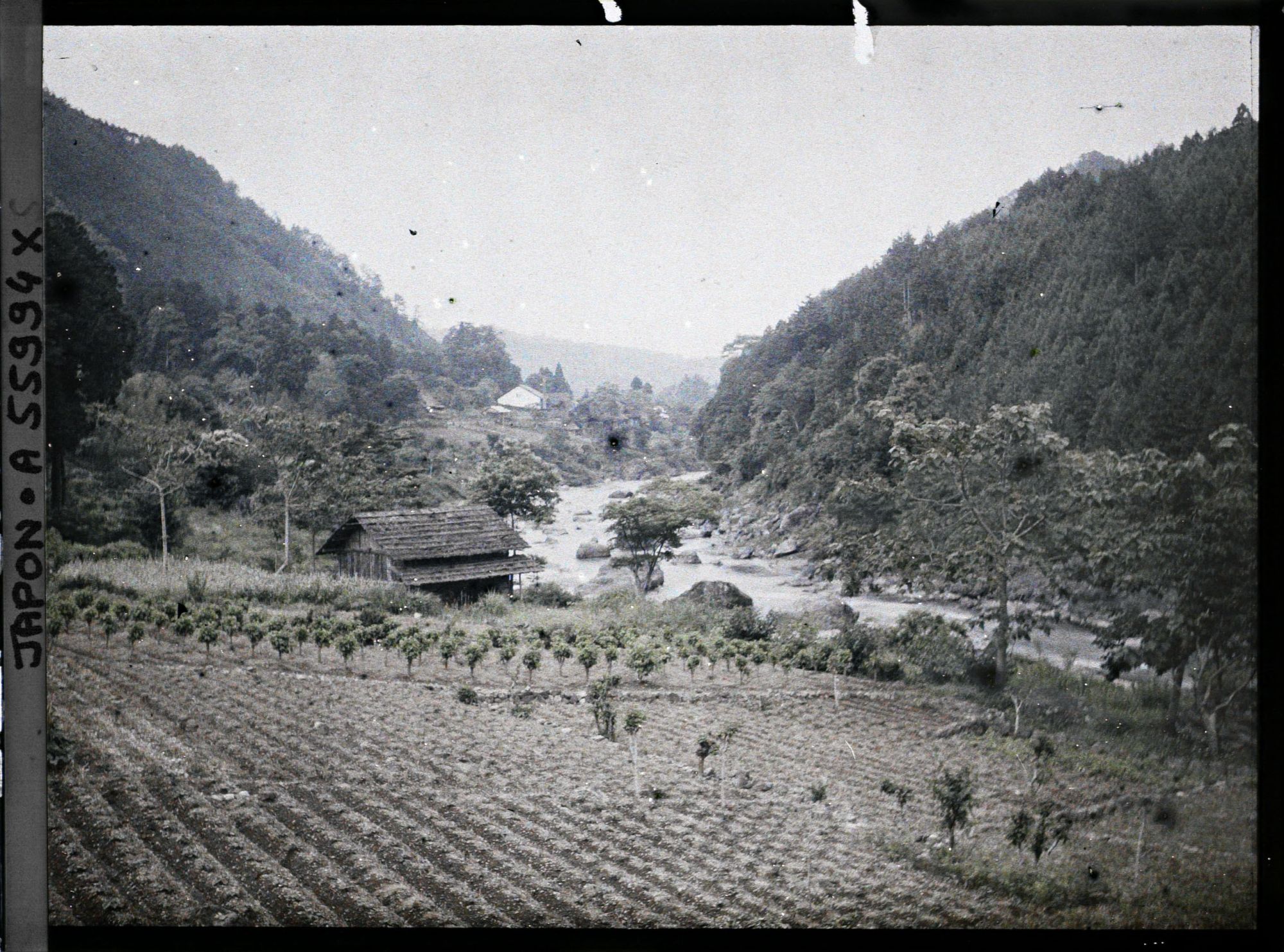 Image représentant Vue probable de la vallée de la Tamagawa