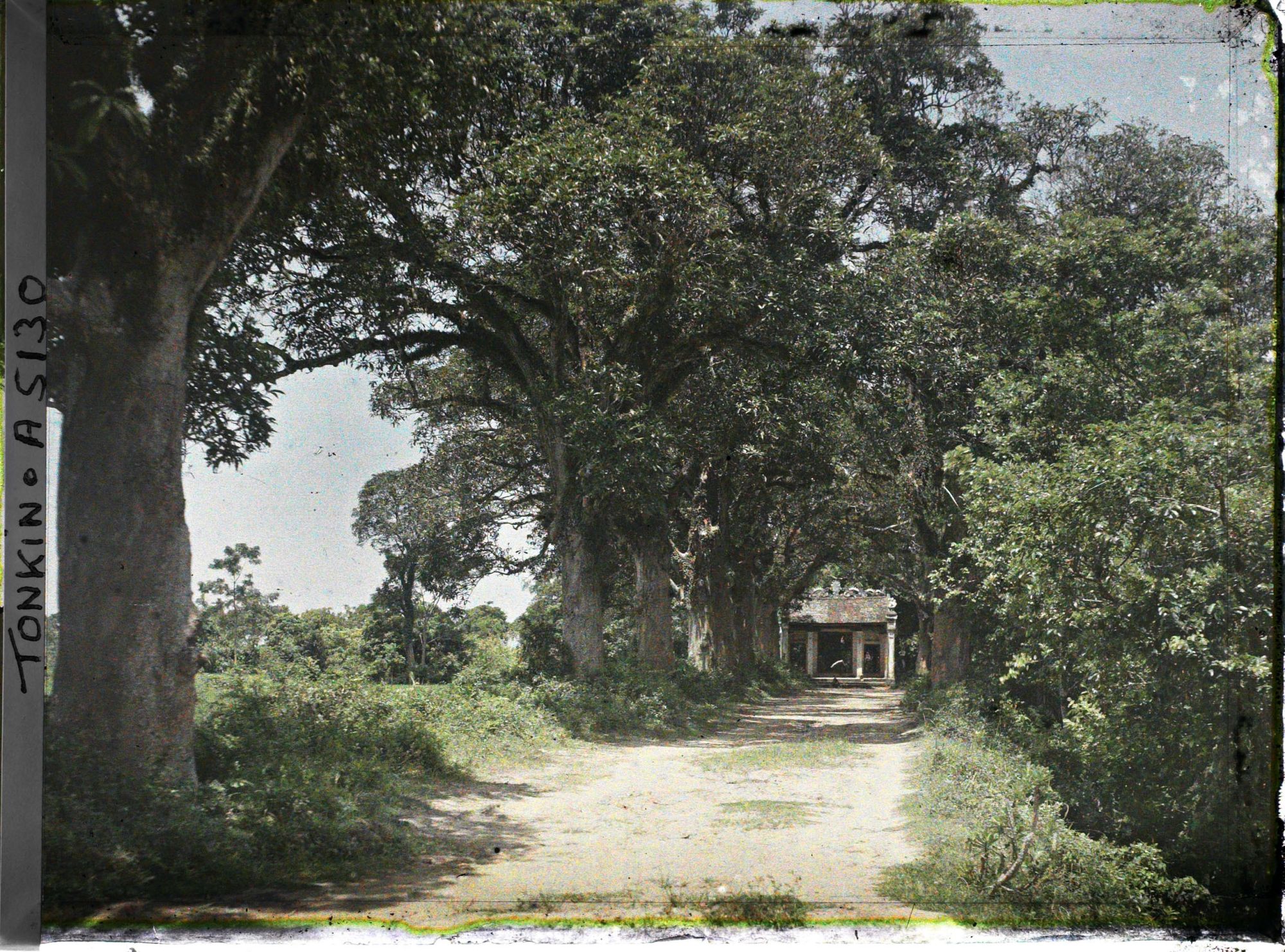 Image représentant L'allée conduisant au temple de Linh-lang
