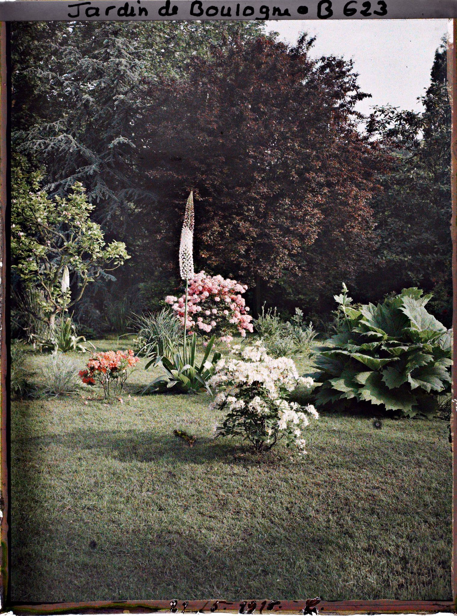 Image représentant IF7975_B000623.jpg