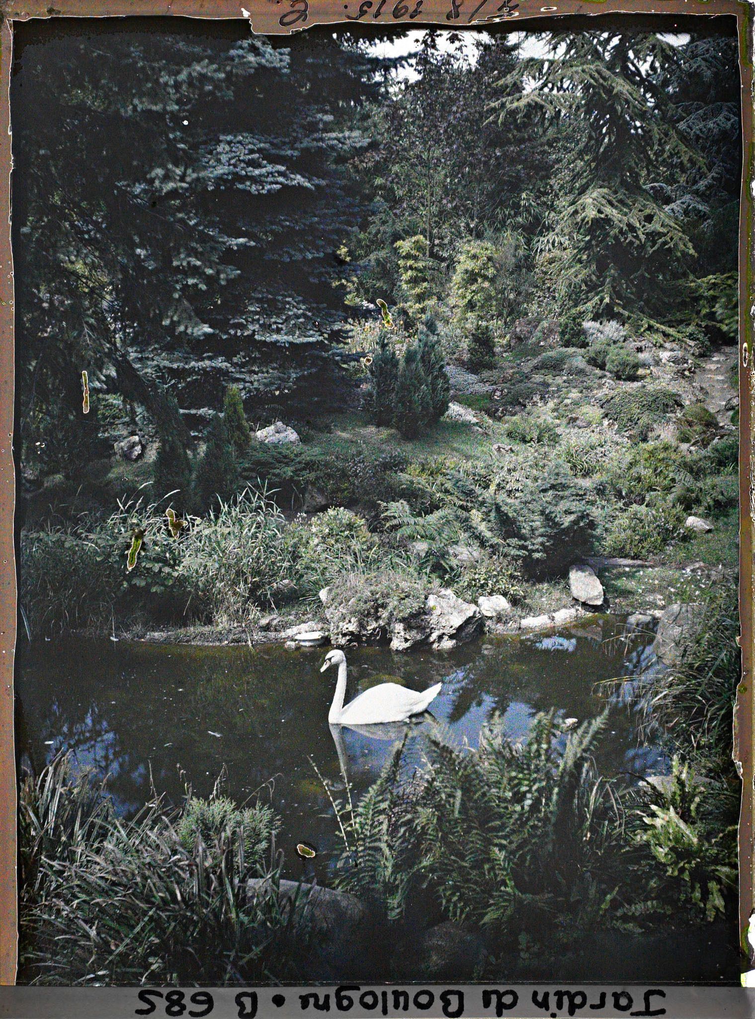 Image représentant IF8038_B000685.jpg