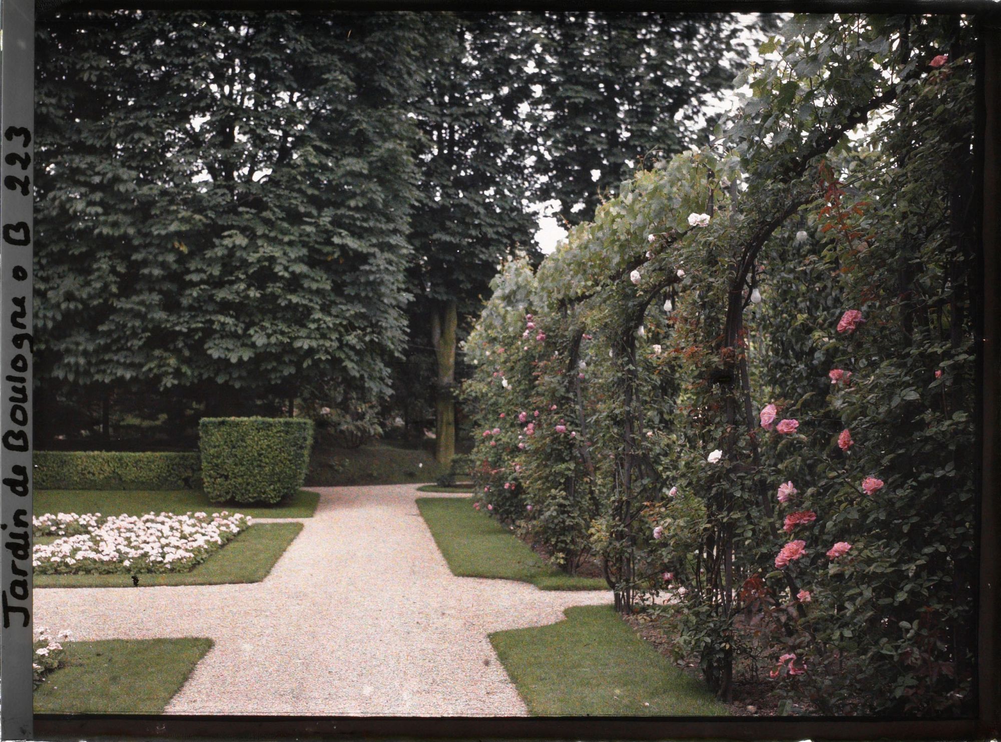 Image représentant Allée du jardin français jouxtant le verger-roseraie, en direction du " village japonais "