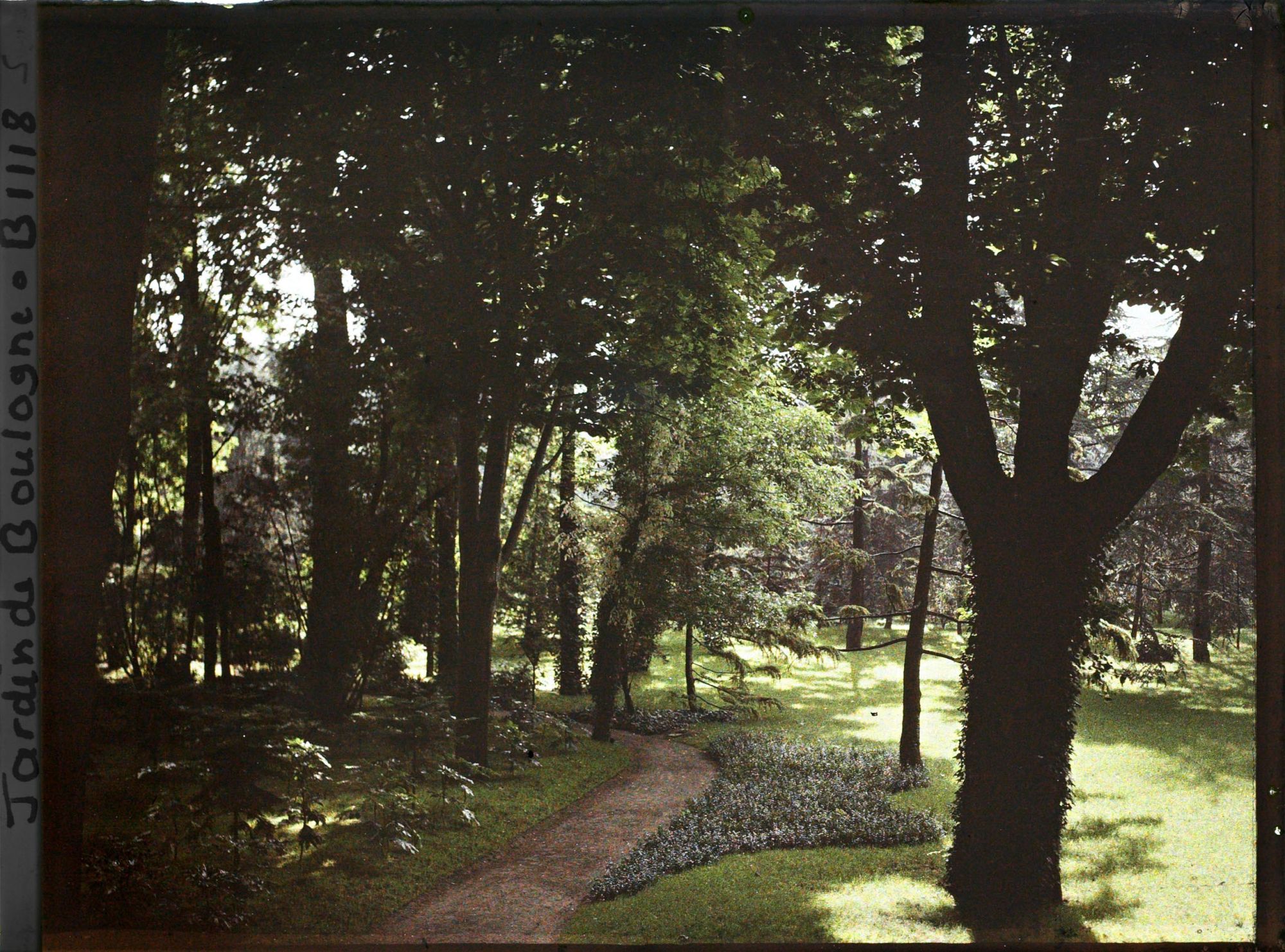 Image représentant Petite allée près de la grande pelouse