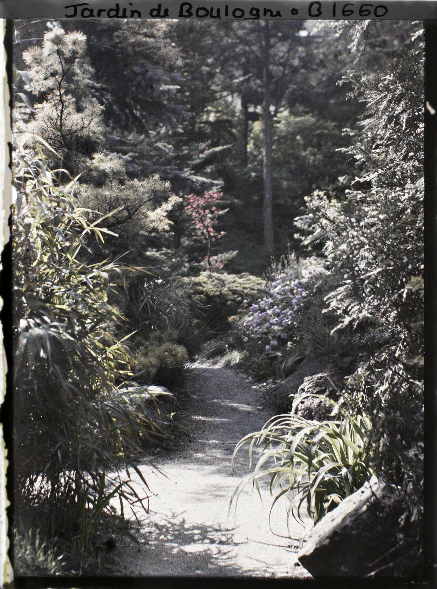 Image représentant Chemin du " village japonais " proche de la porte ouvrant sur le " sanctuaire japonais "