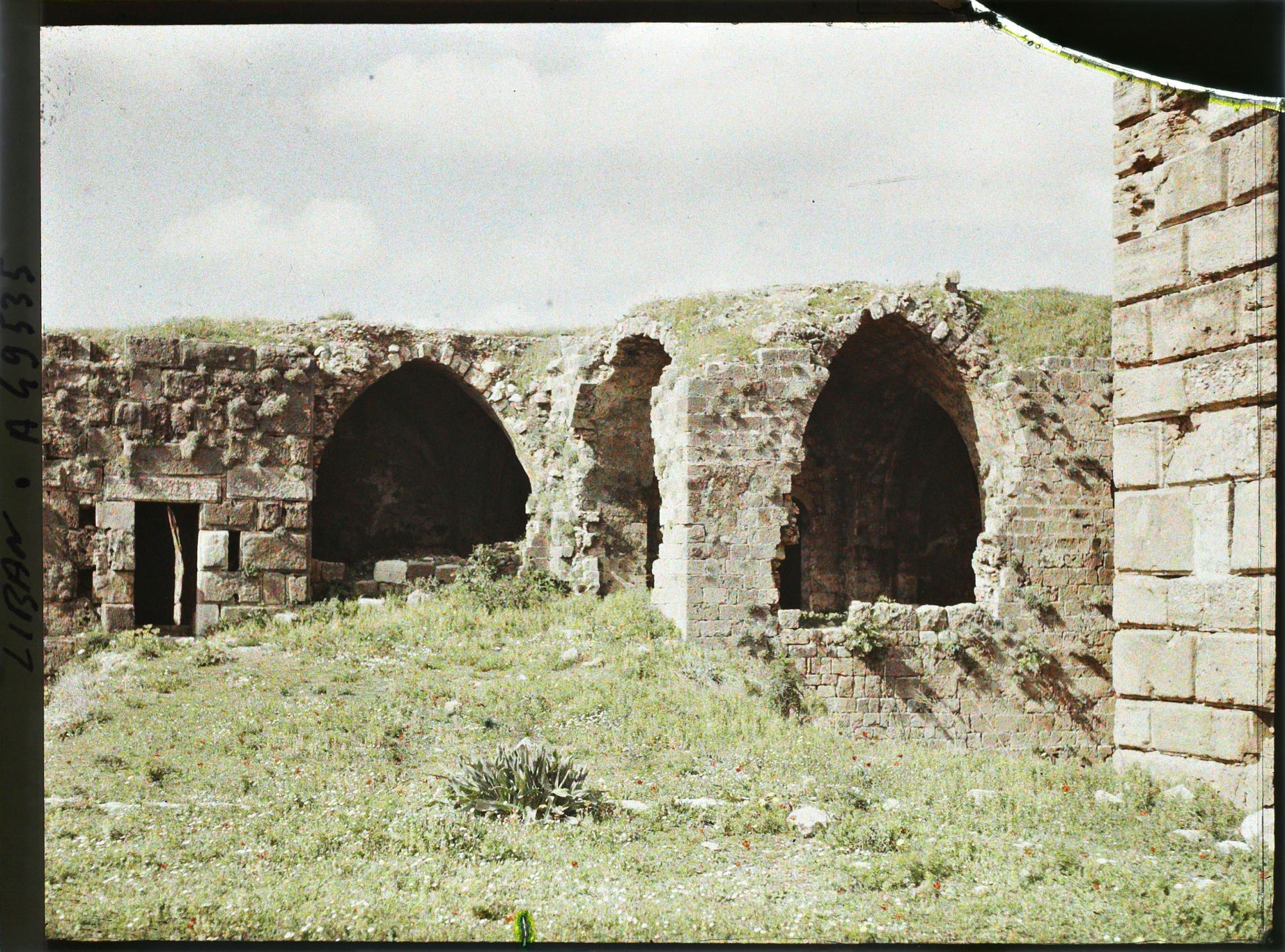 Image représentant Vestiges près de la tour