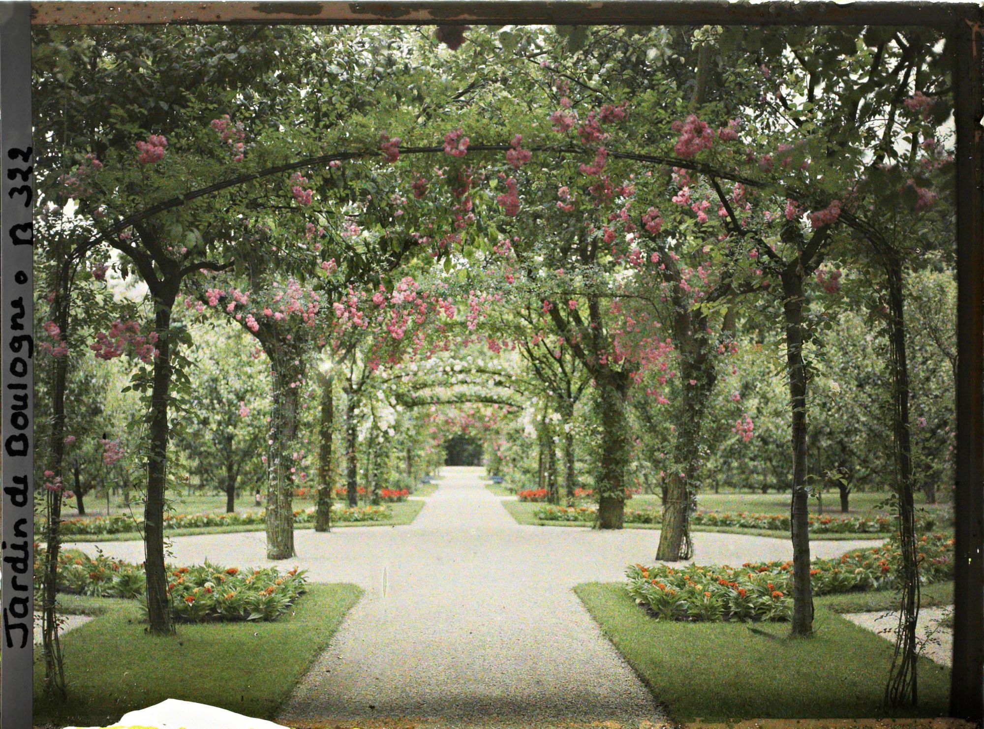 Image représentant Axe central du verger-roseraie vu en direction du jardin anglais, près du rond-point côté dépendance