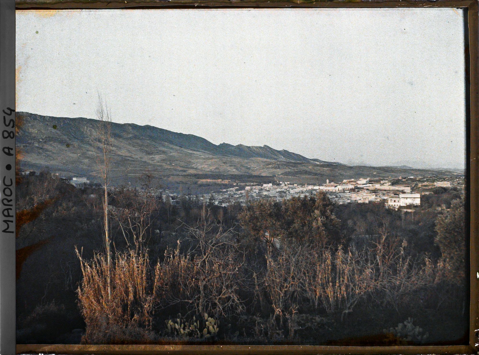 Image représentant Panorama sur Fès el Bali, pris du sud