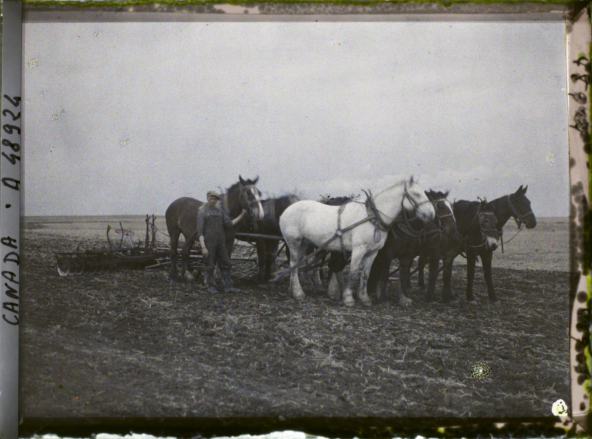 Image représentant Canada, Gravellebourg, Ferme Alfred Beauchêne- Semeuse à 6 Chevaux