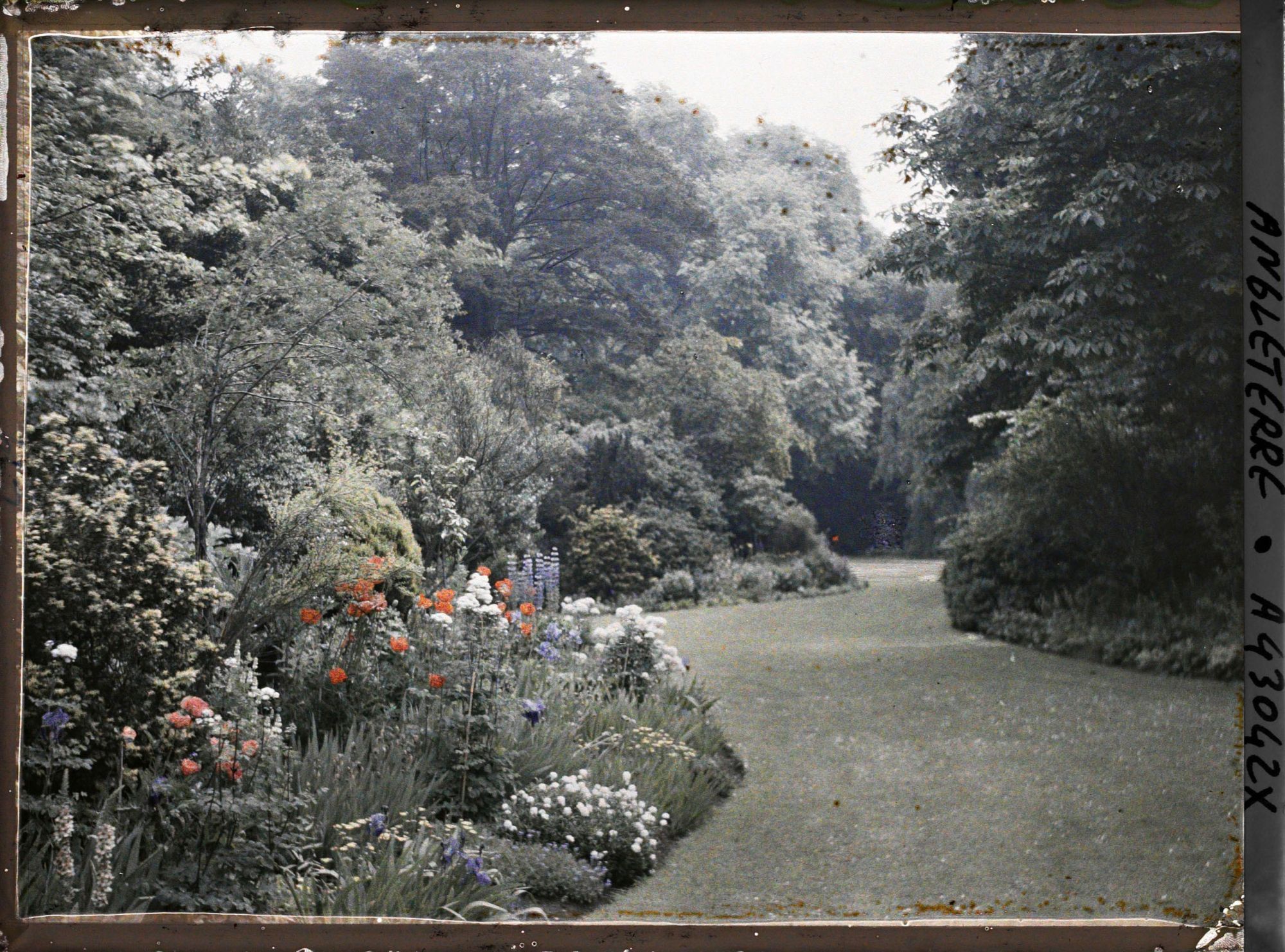Image représentant Une allée du Jardin du Saint John's College