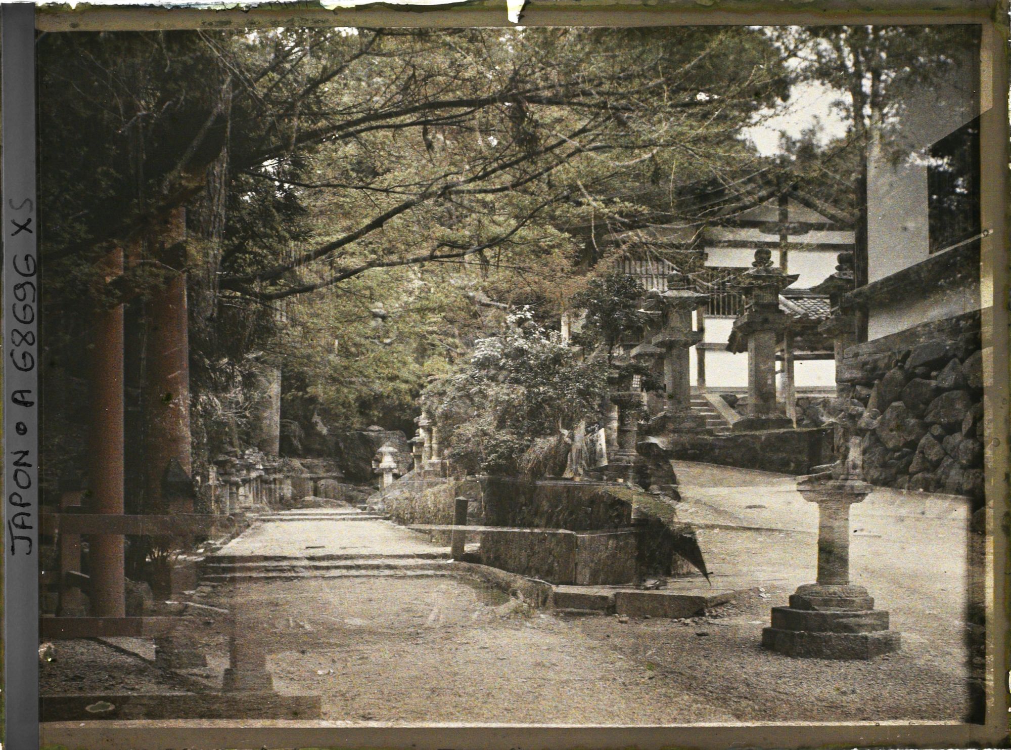 Image représentant Sanctuaire Kasuga-Jinja (ou Kasuga-Taisha), l'allée des lanternes (Sando ou Omote-sando)