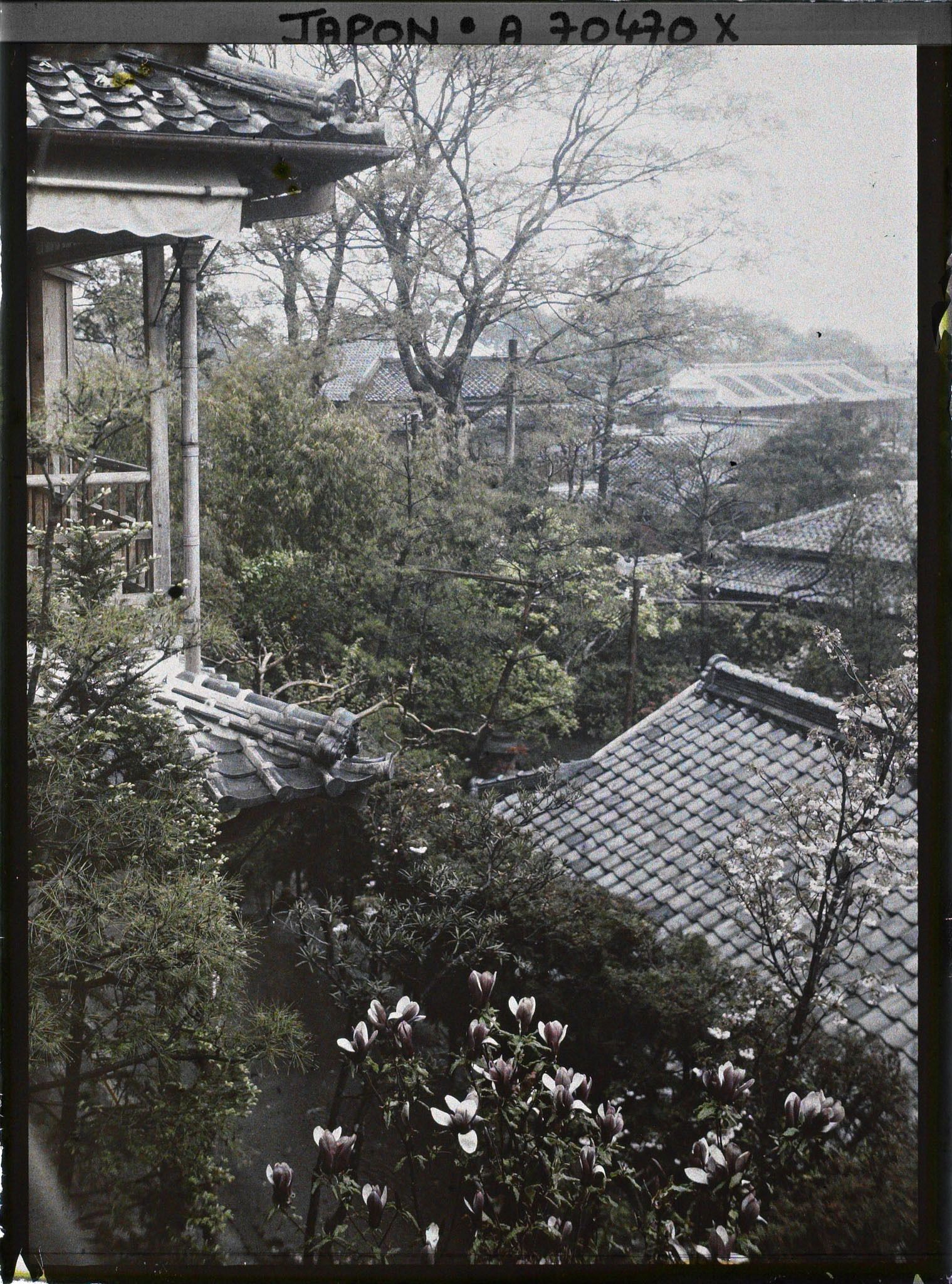 Image représentant Vue vers la ville depuis une auberge