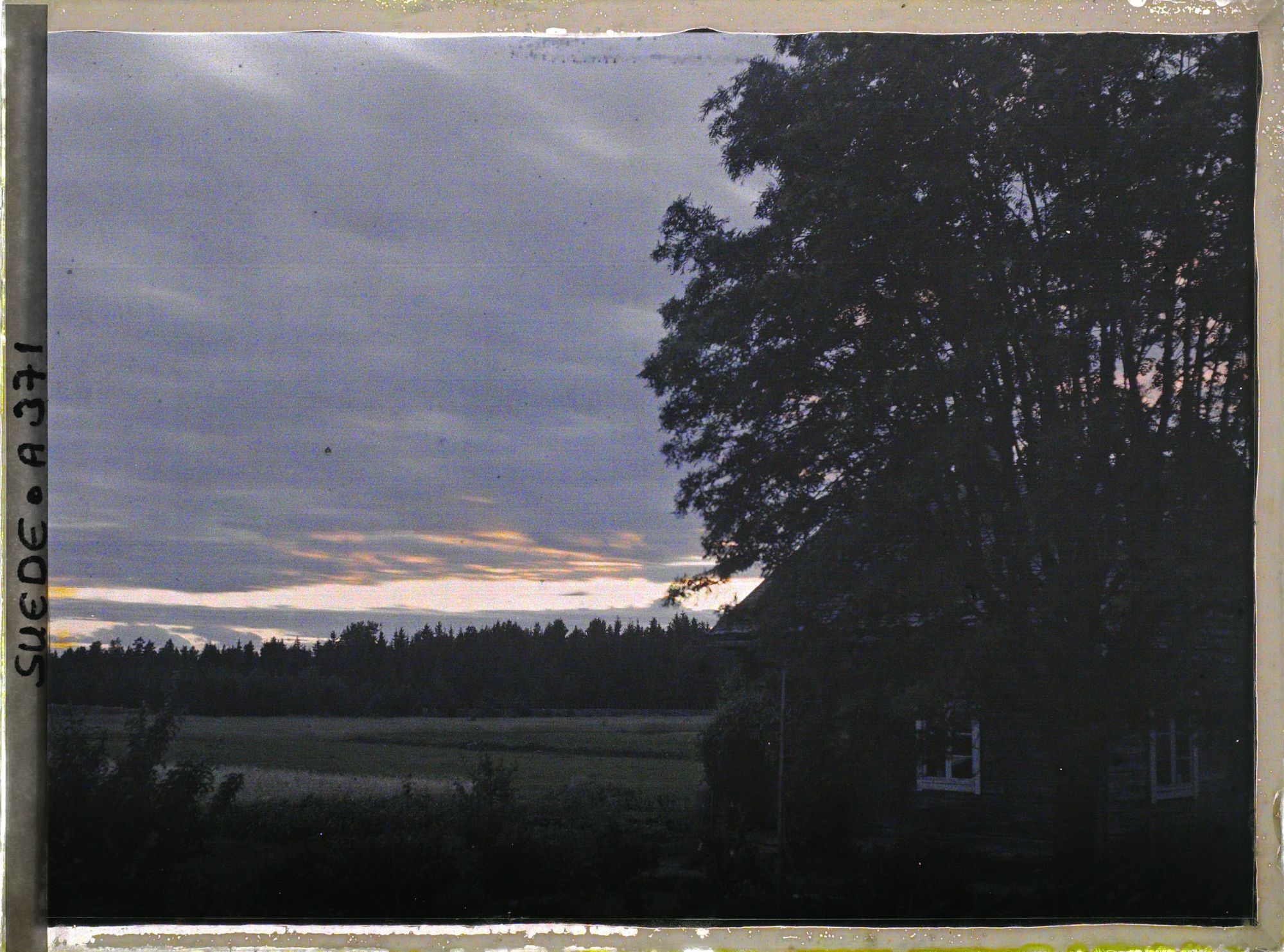 Image représentant Pignon d'une maison masquée par un arbre