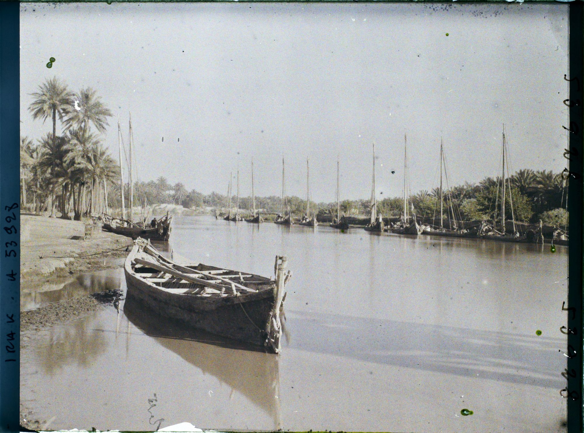 Image représentant Rives du Chatt Al-Hillah, l'une des branches de l'Euphrate