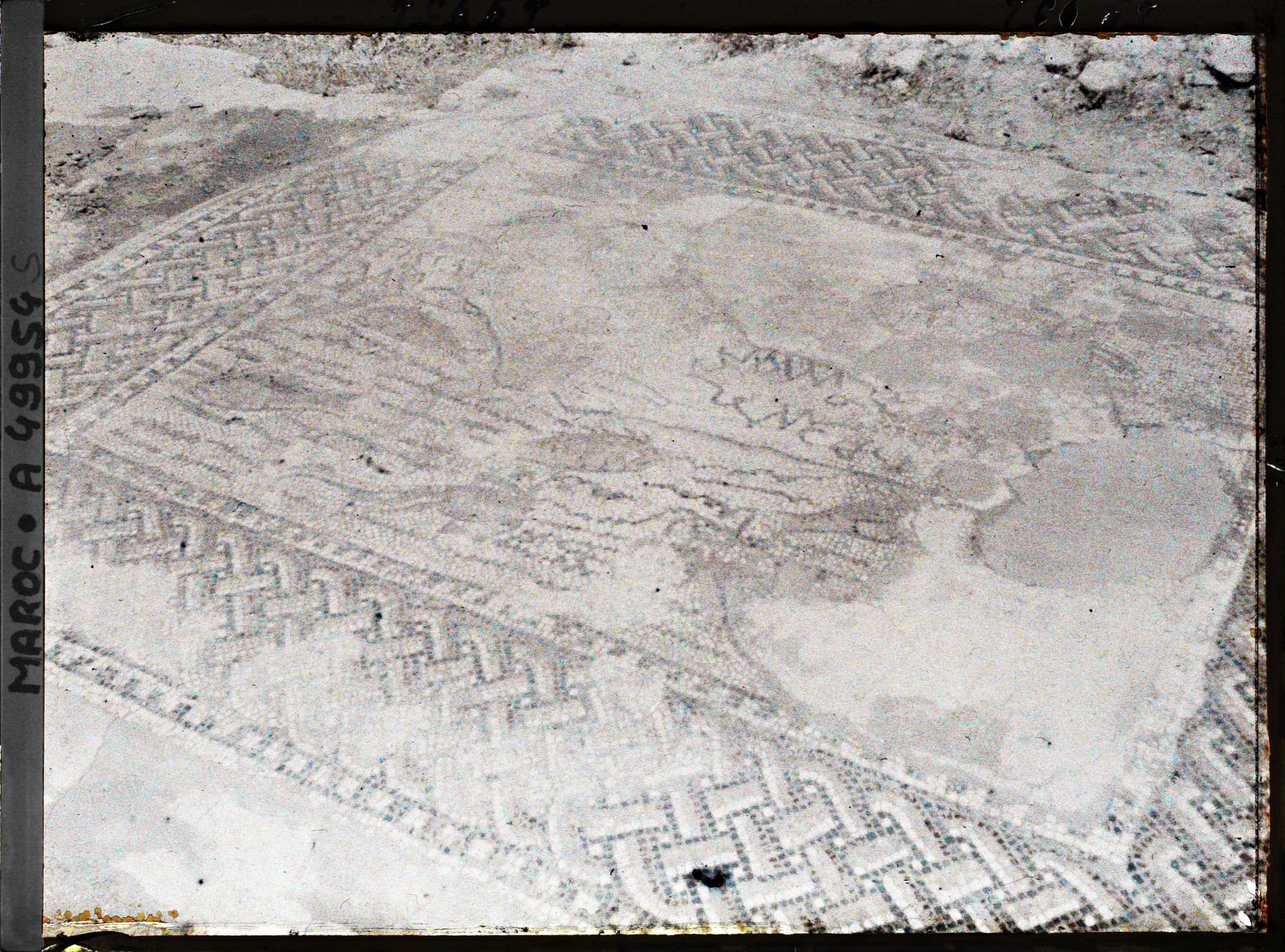 Image représentant Mosaïque romaine représentant une scène de pêche