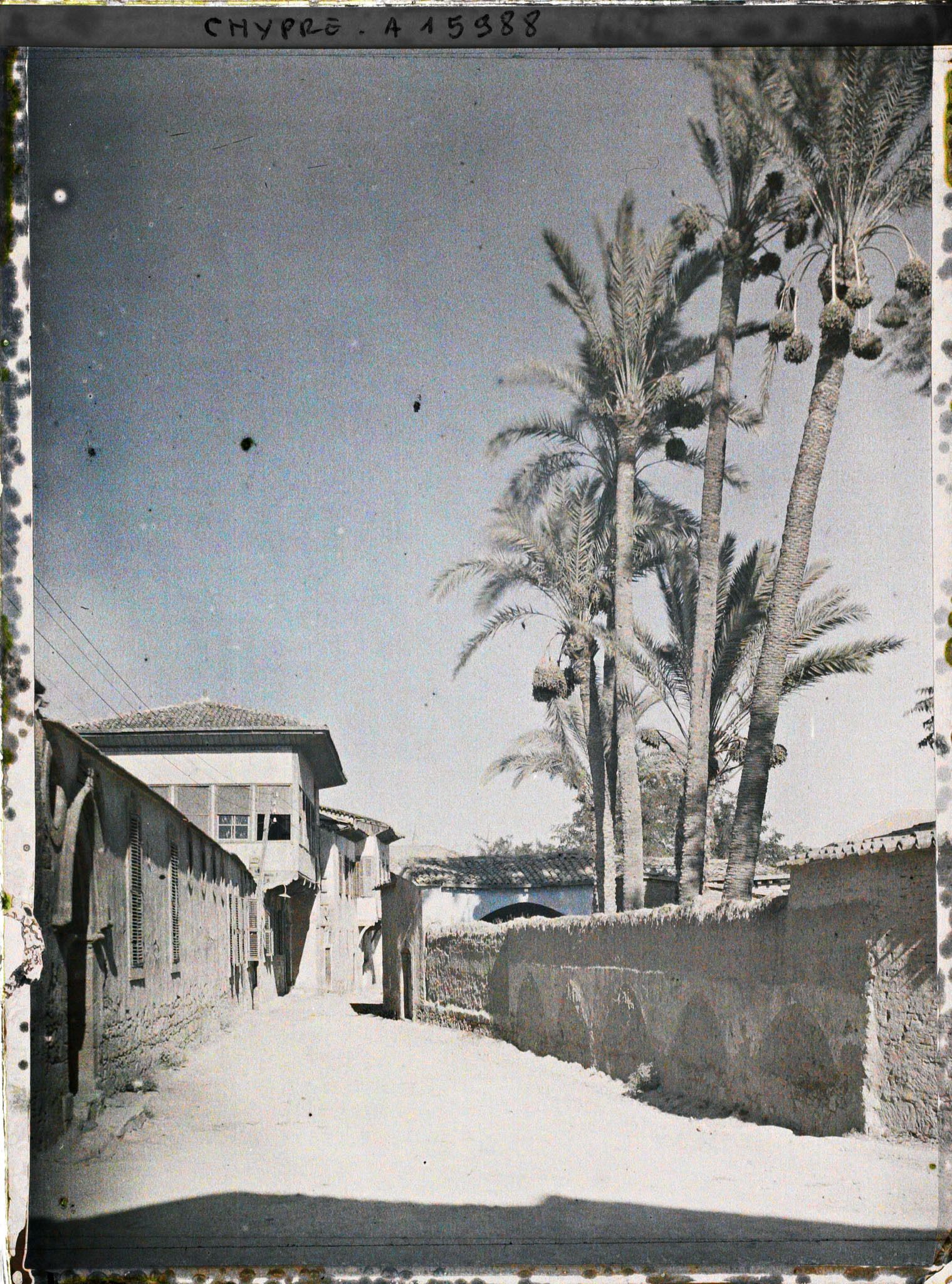 Image représentant Une rue bordée de palmiers