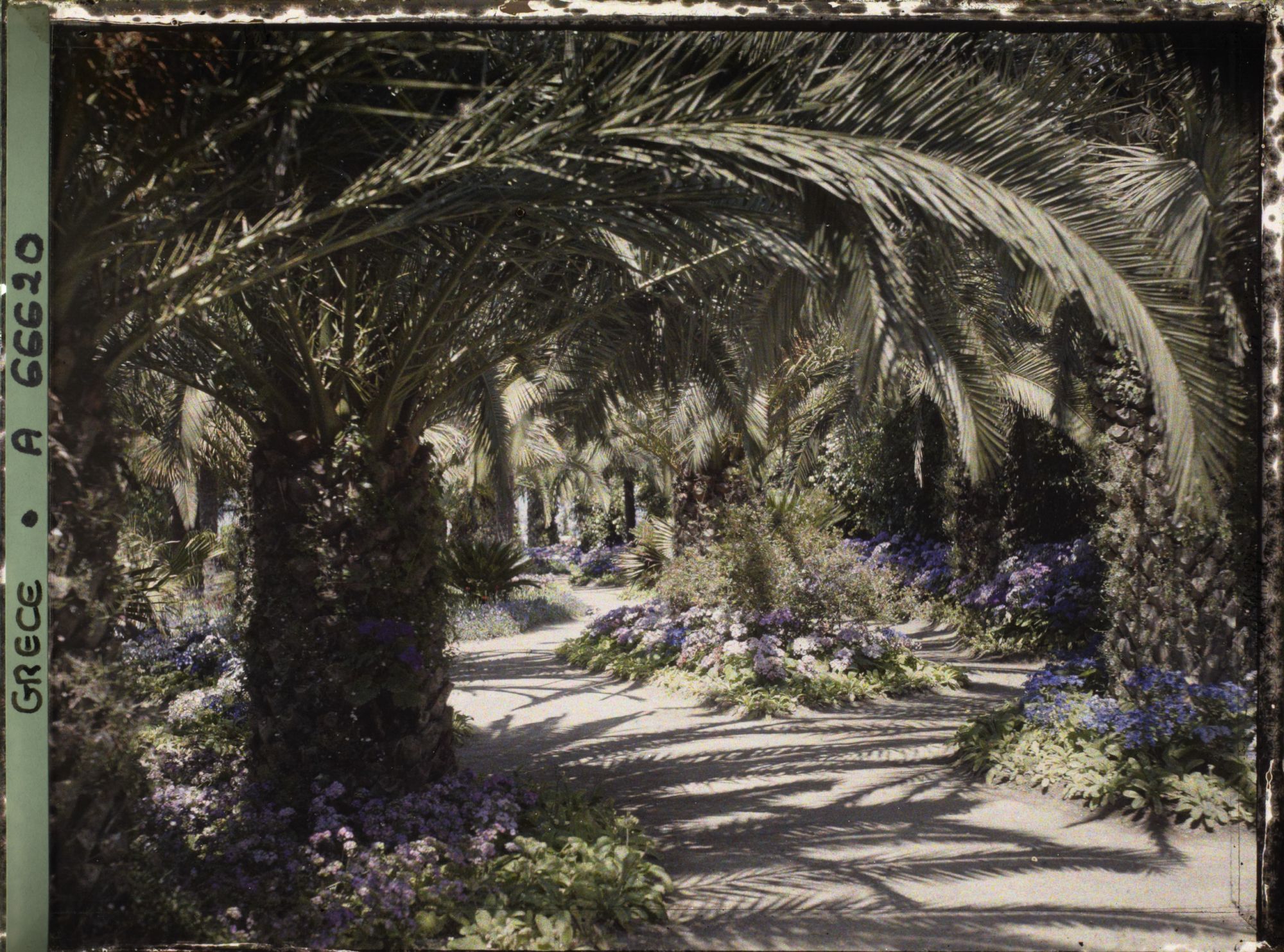 Image représentant L'Achilleion - Les Jardins