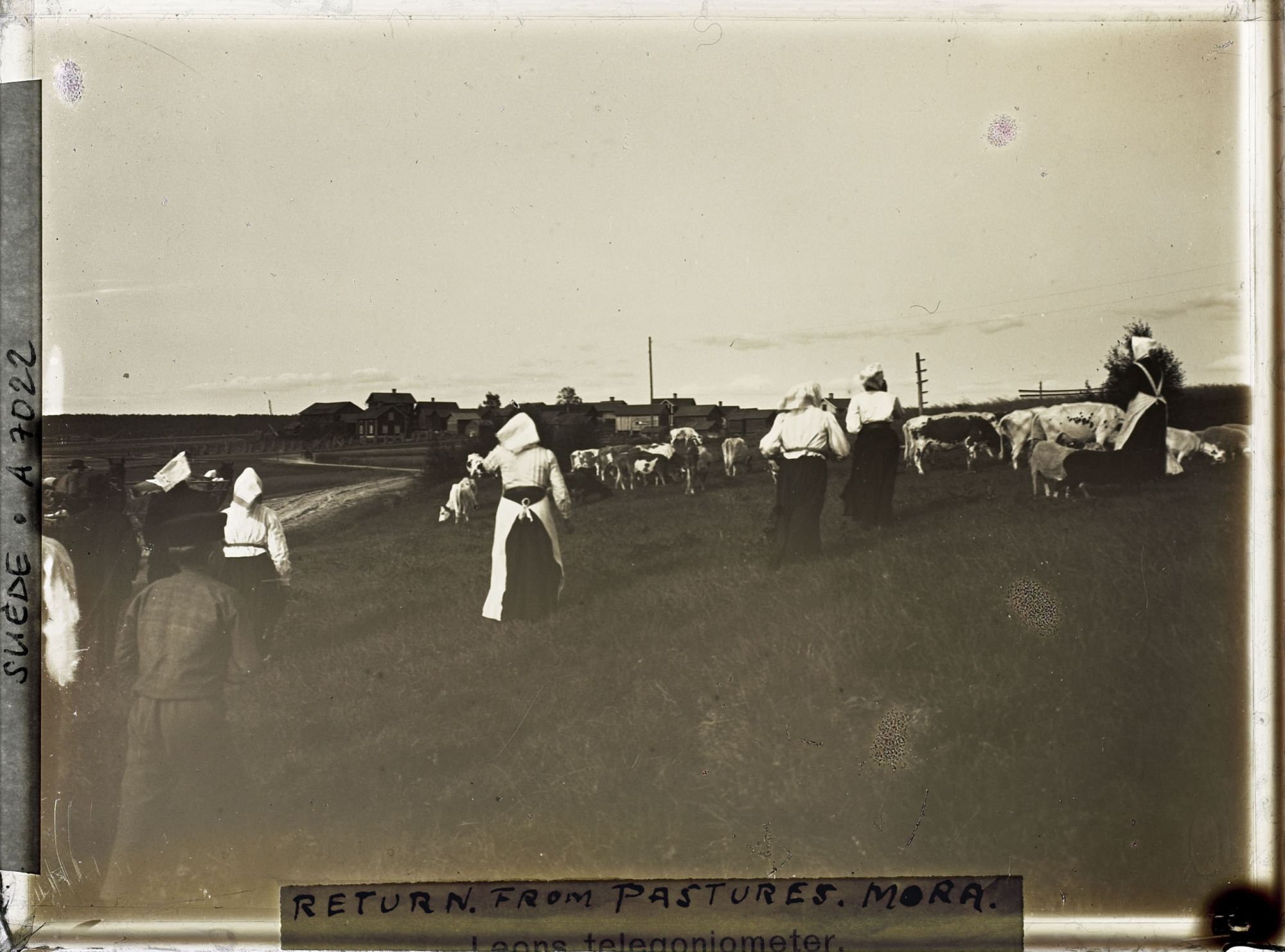 Image représentant Habitants de Vika revenant des pâturages