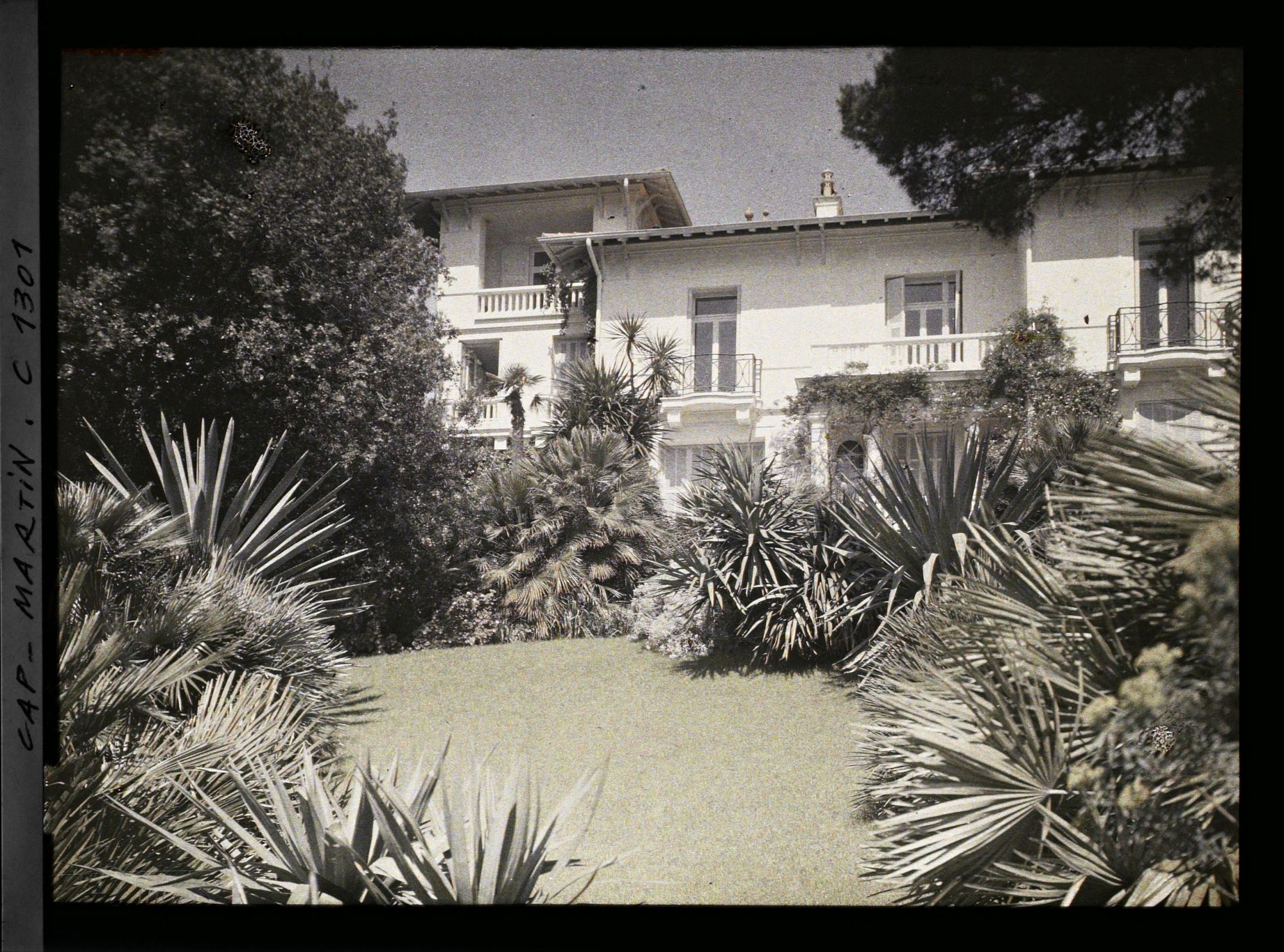 Image représentant le Jardin