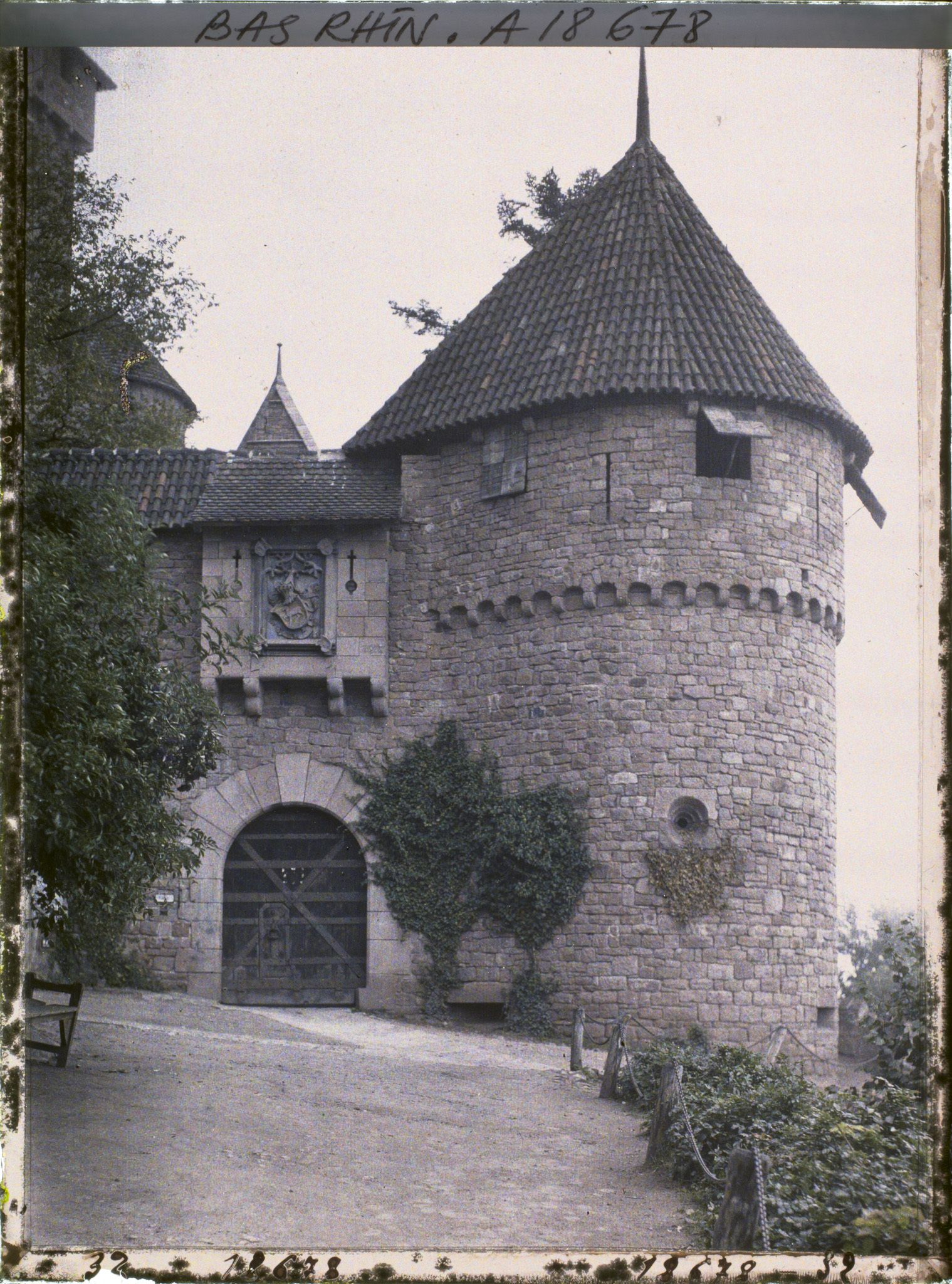 Image représentant Château de Haut-Koenigsbourg