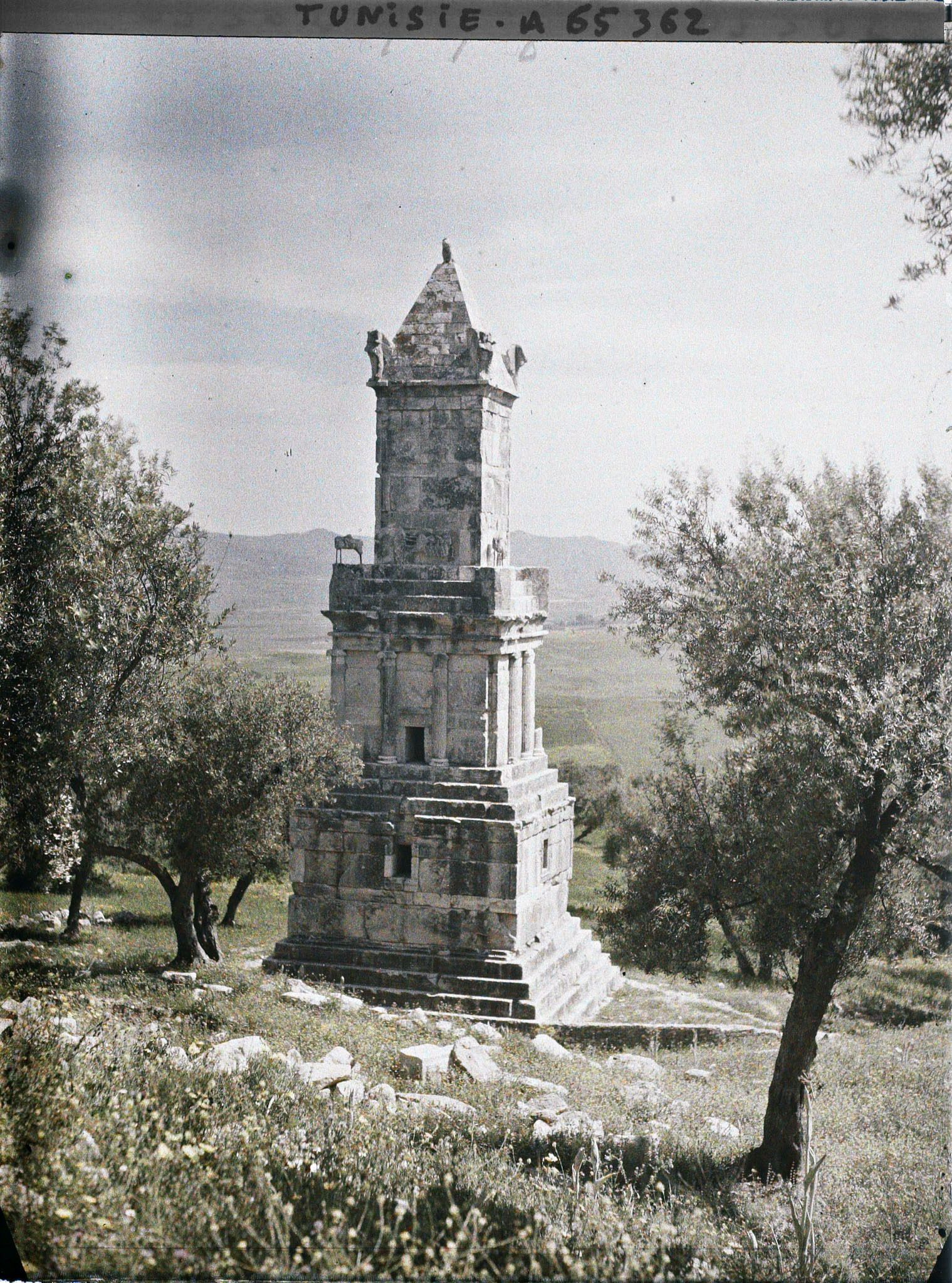 Image représentant Le mausolée libyco-punique au milieu des oliviers