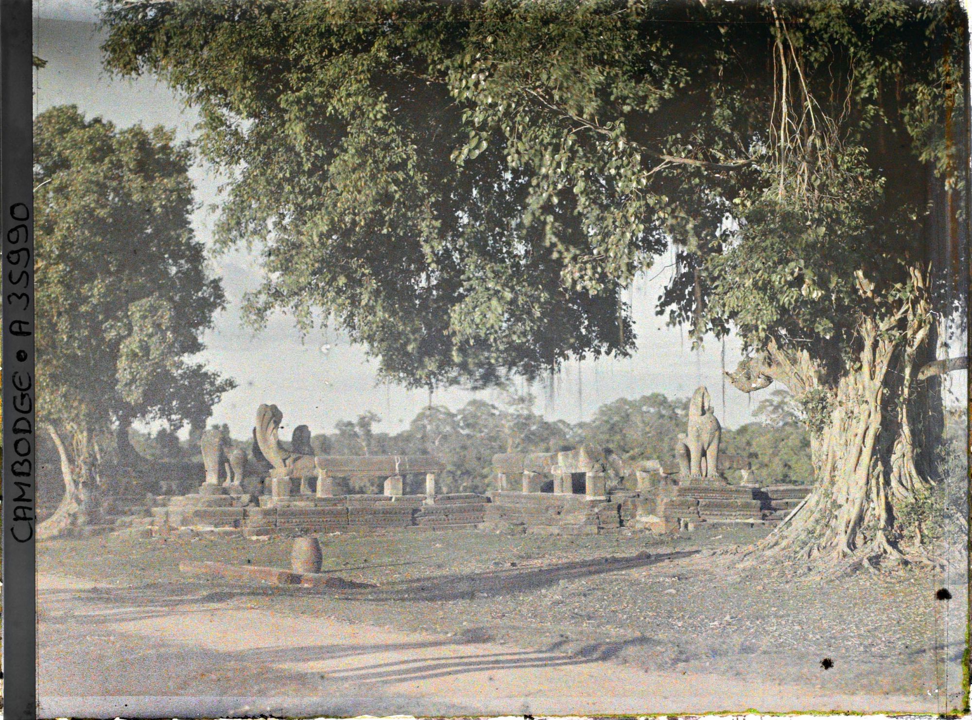 Image représentant Des fragments de sculptures (nâga-balustrades et lions d'échiffre)
