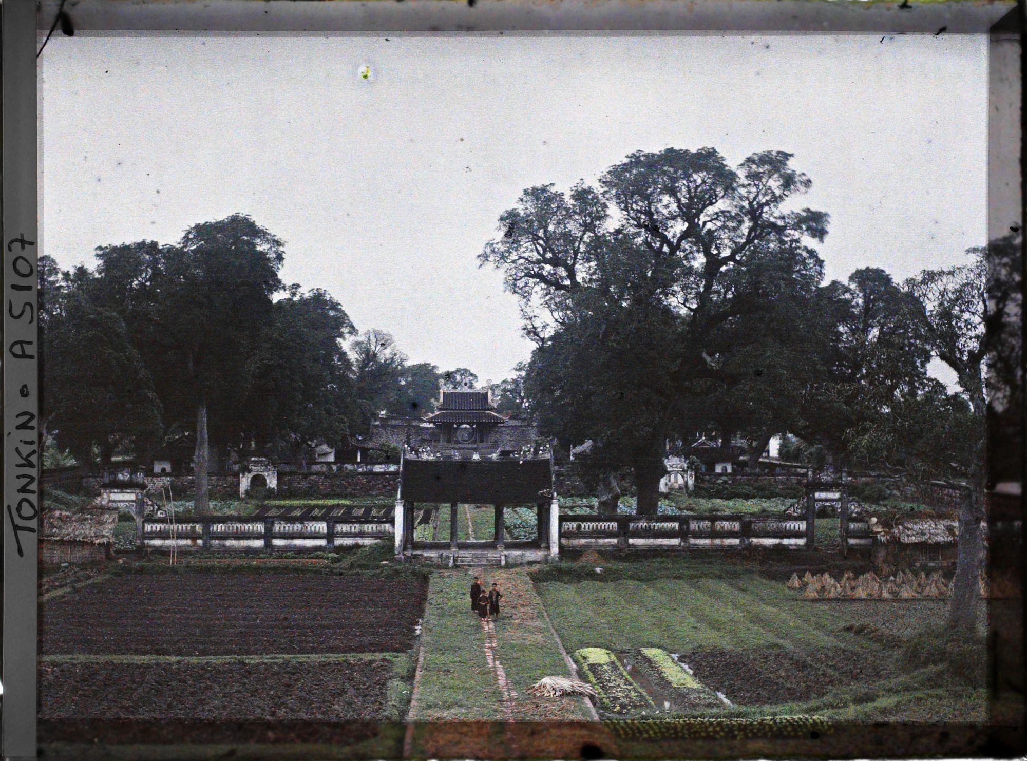 Image représentant Vue plongeante sur les deux premières cours du Van-mieu, temple confucéen de la " Culture littéraire ", dans le quartier de la Citadelle (route de Sinh-tu)