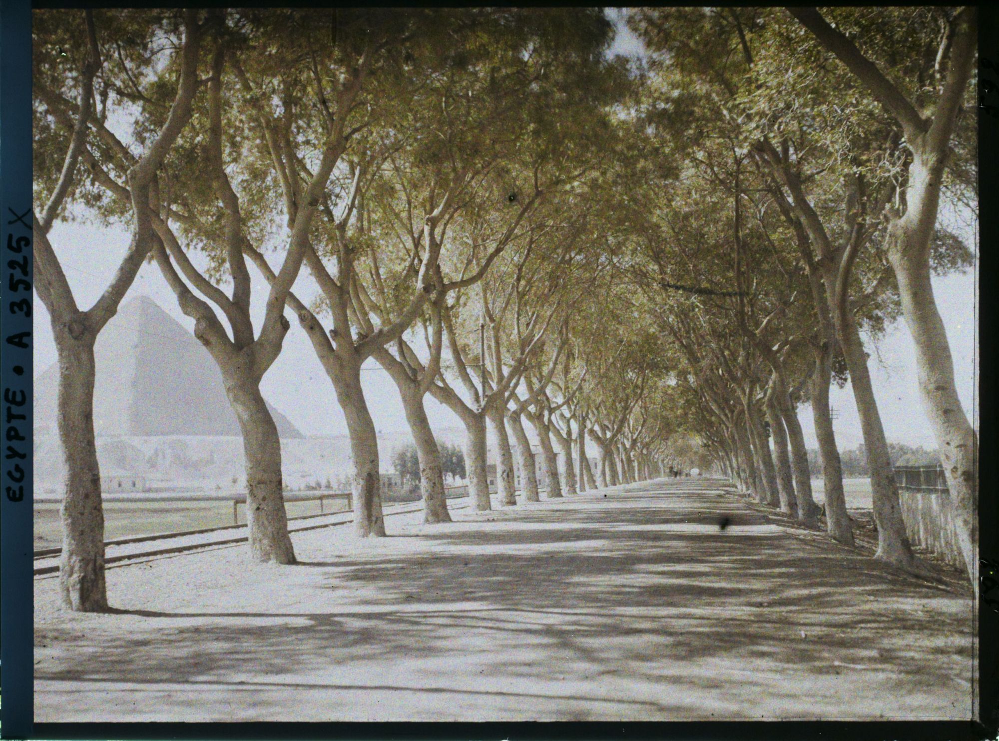 Image représentant Route conduisant aux pyramides de Gizeh