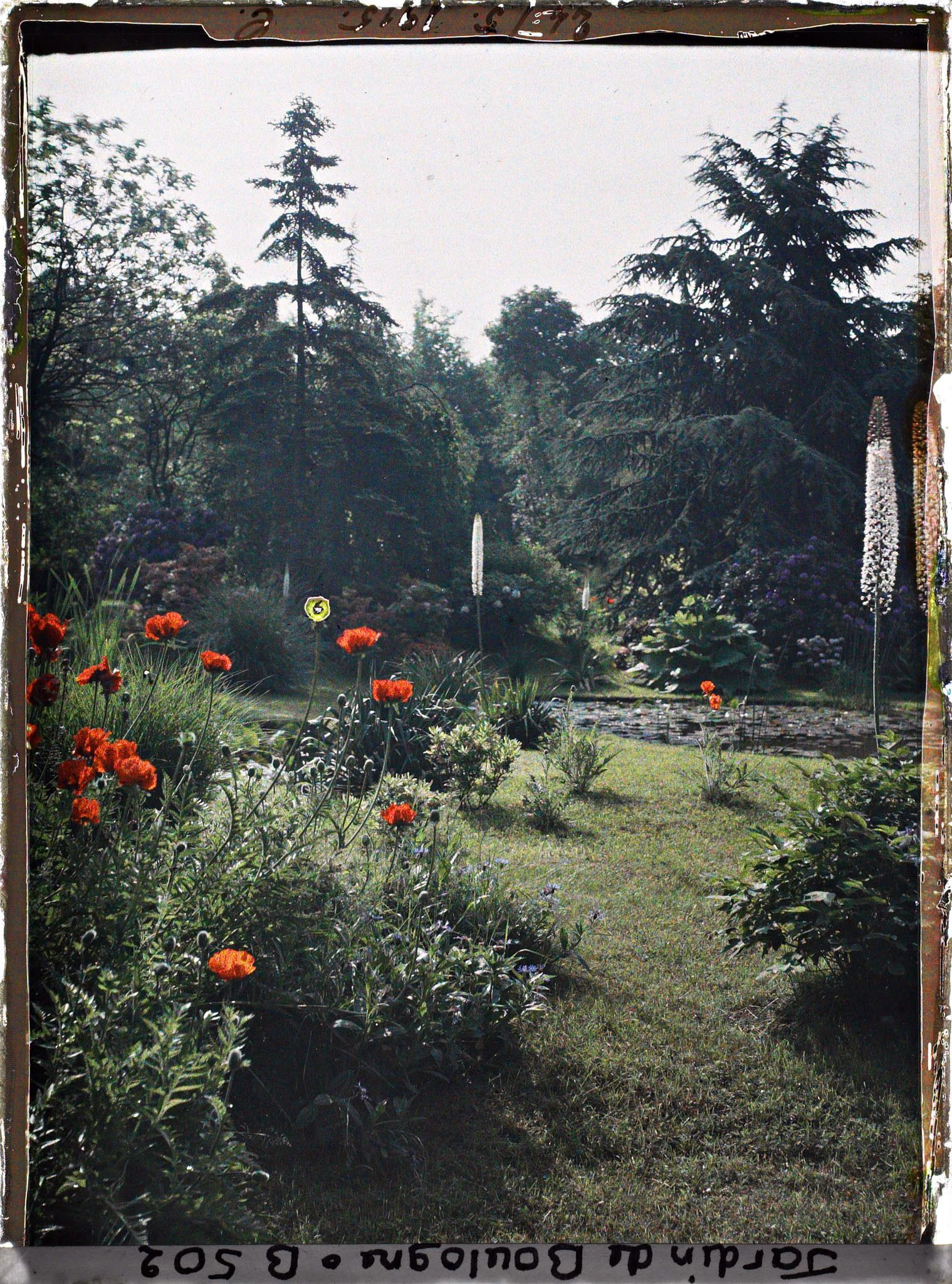 Image représentant Massif fleuri, proche de la bande gazonnée séparant les " étangs " du marais, vu vers l'est, sud-est