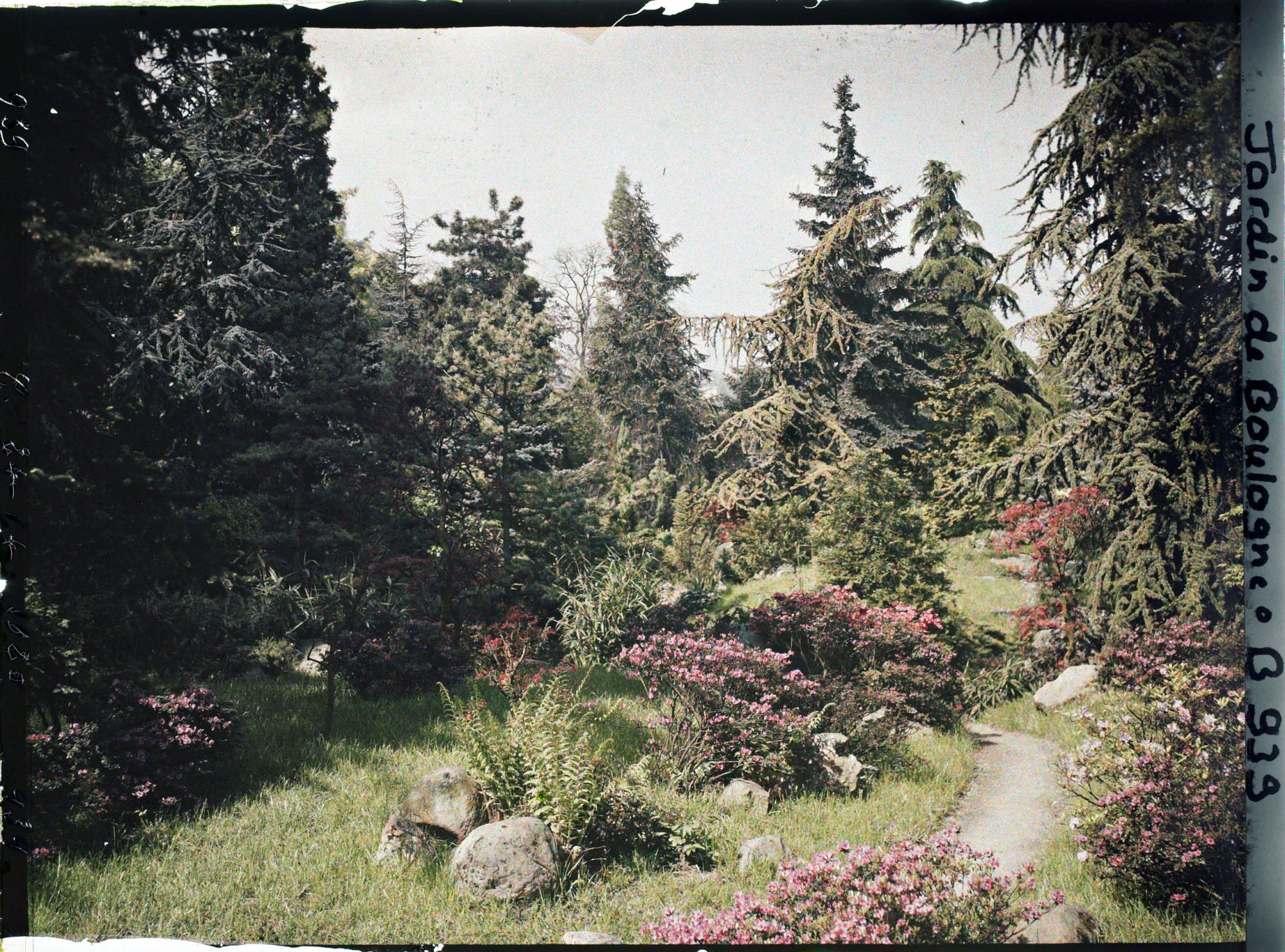 Image représentant Chemin du " sanctuaire japonais " bordé d'érables et d'azalées, à la sortie du " village japonais "