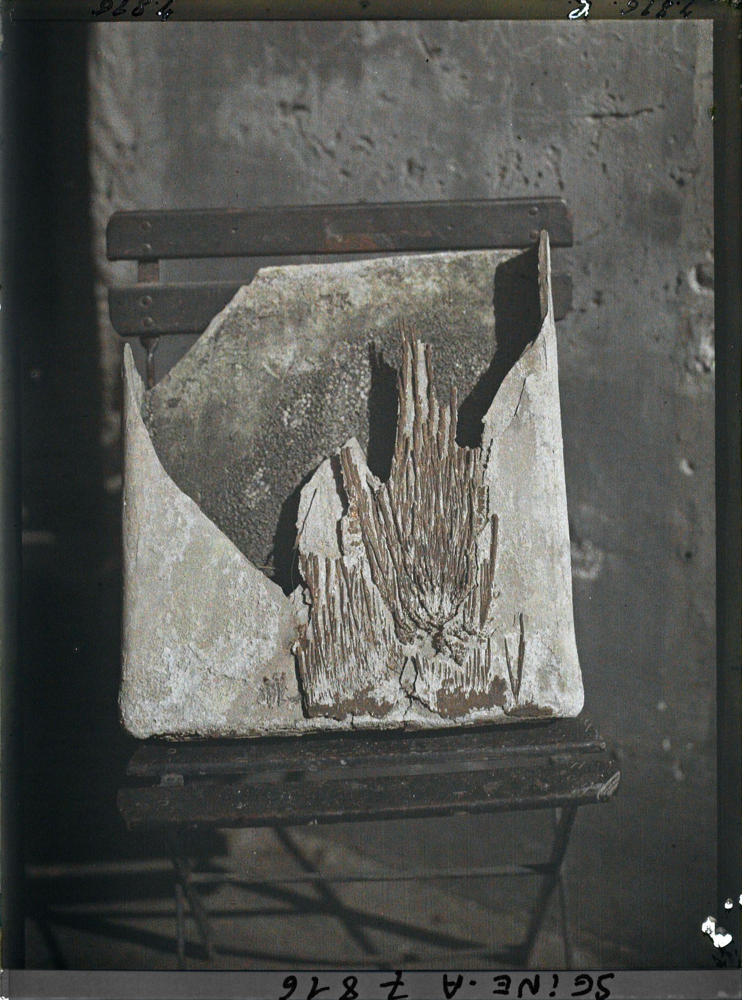 Image représentant Moulage ?