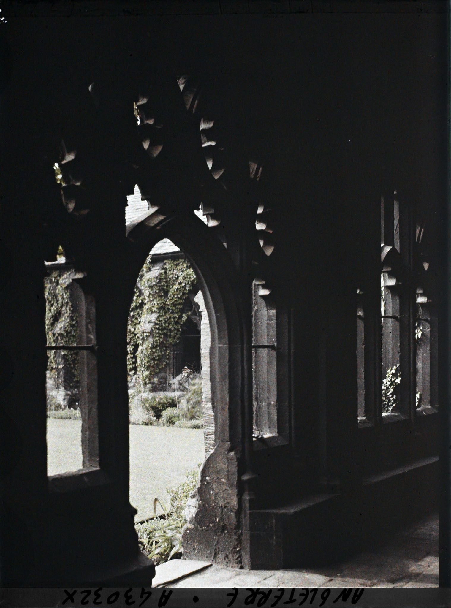 Image représentant Le cloître du New College