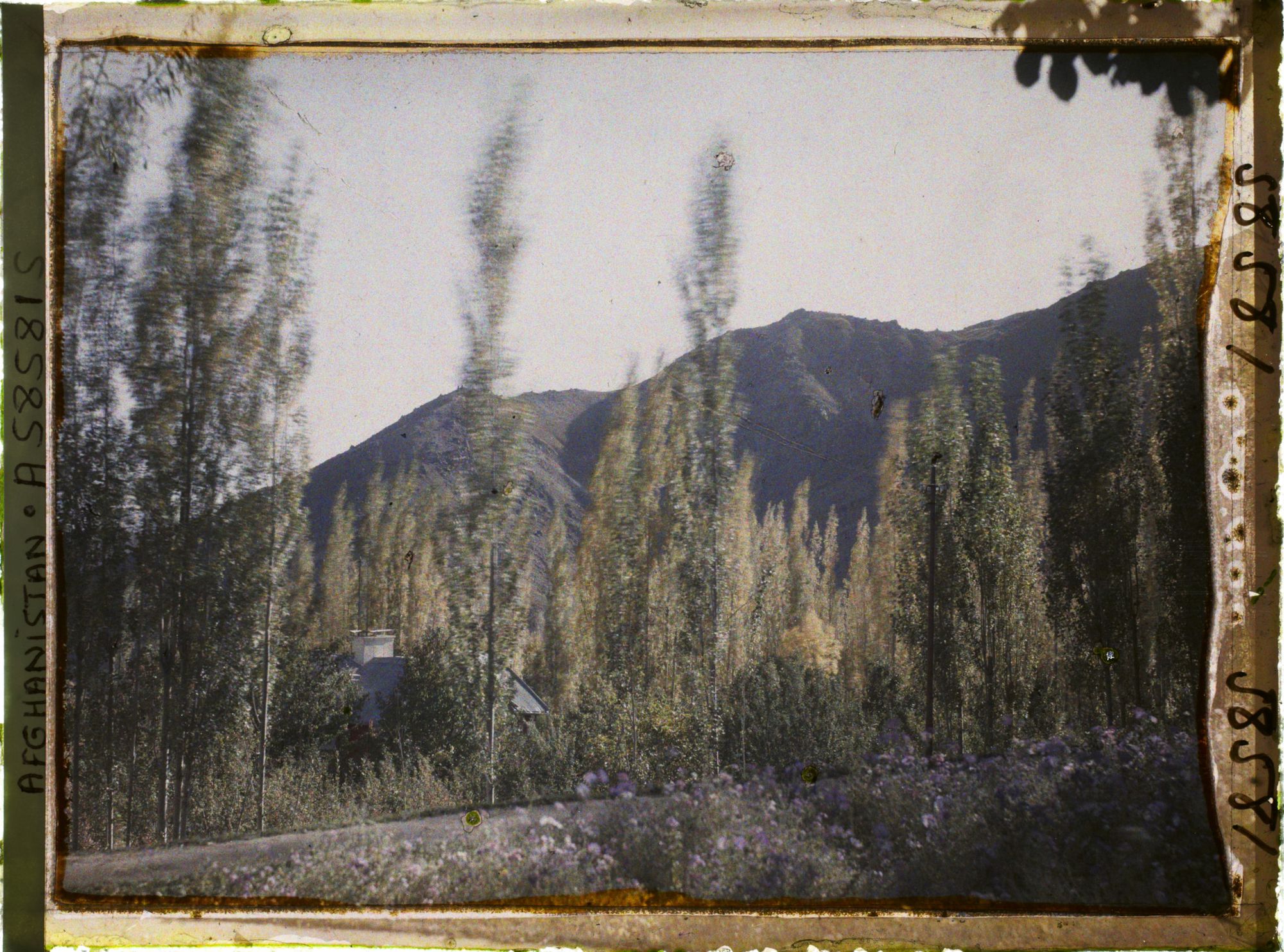 Image représentant Afghanistan, Kaboul, Jardin du Palais du Roi - Vue vers les Montagnes de Paghman