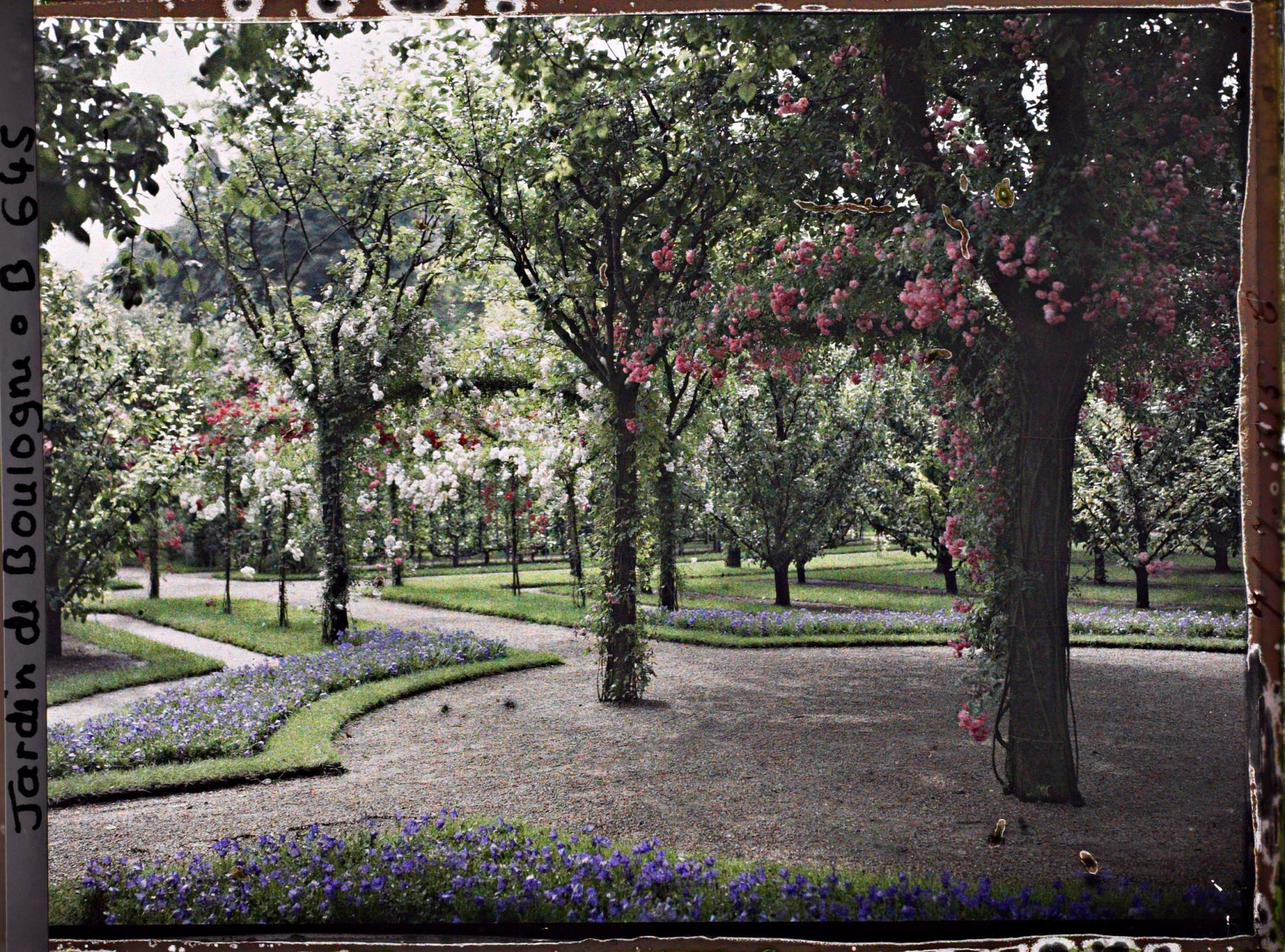 Image représentant IF7996_B000645.jpg